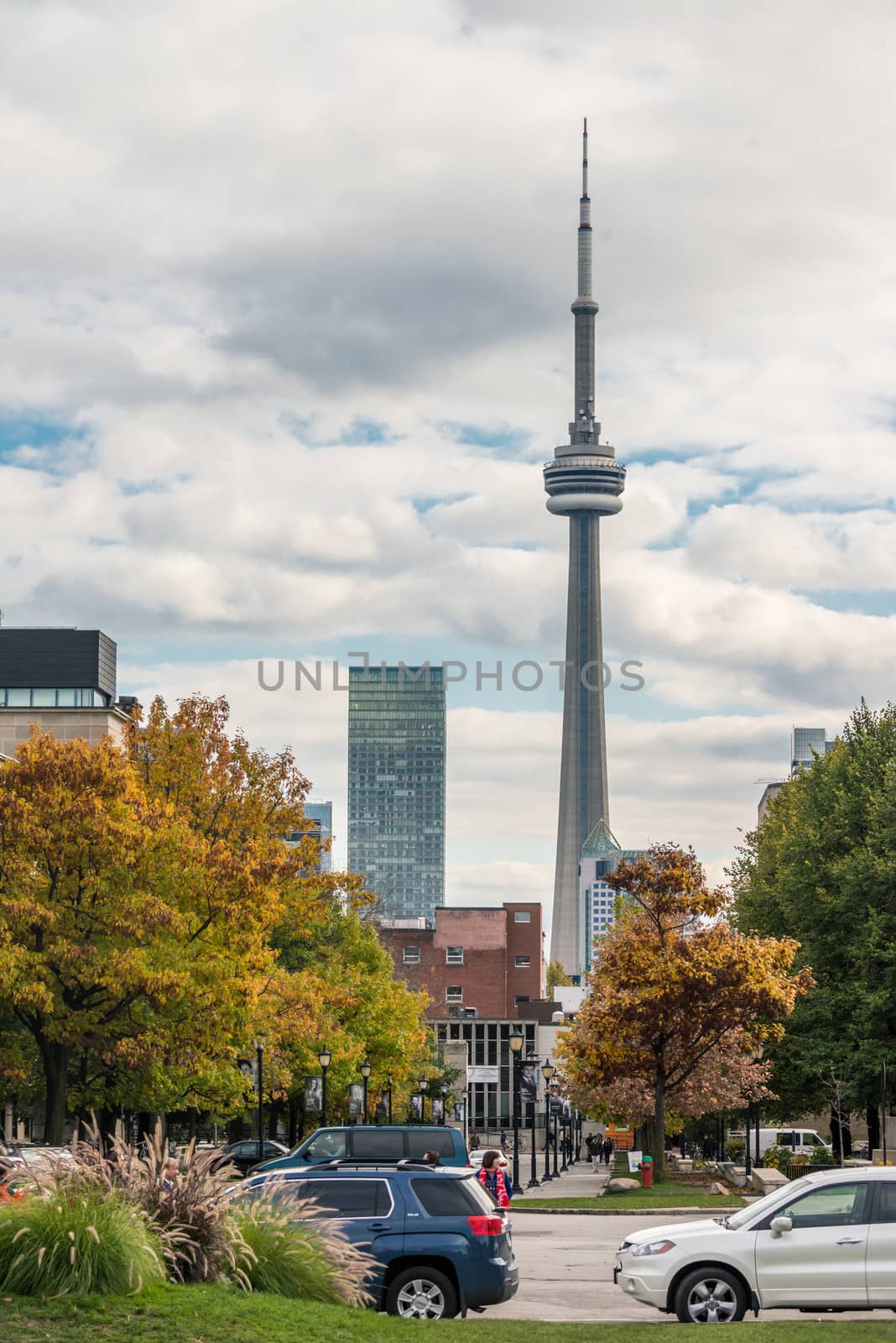 View of CN tower from University of Toronto by IVYPHOTOS