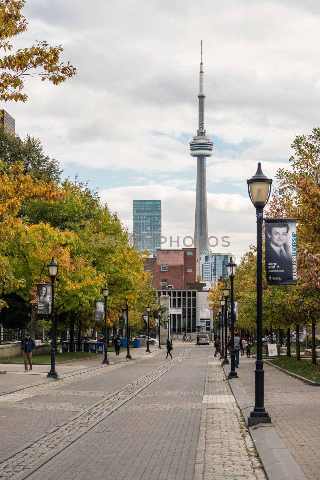 TORONTO, ON, CANADA - OCTOBER 22: View of CN tower from University of Toronto, in Toronto, ON, on October 22, 2013.