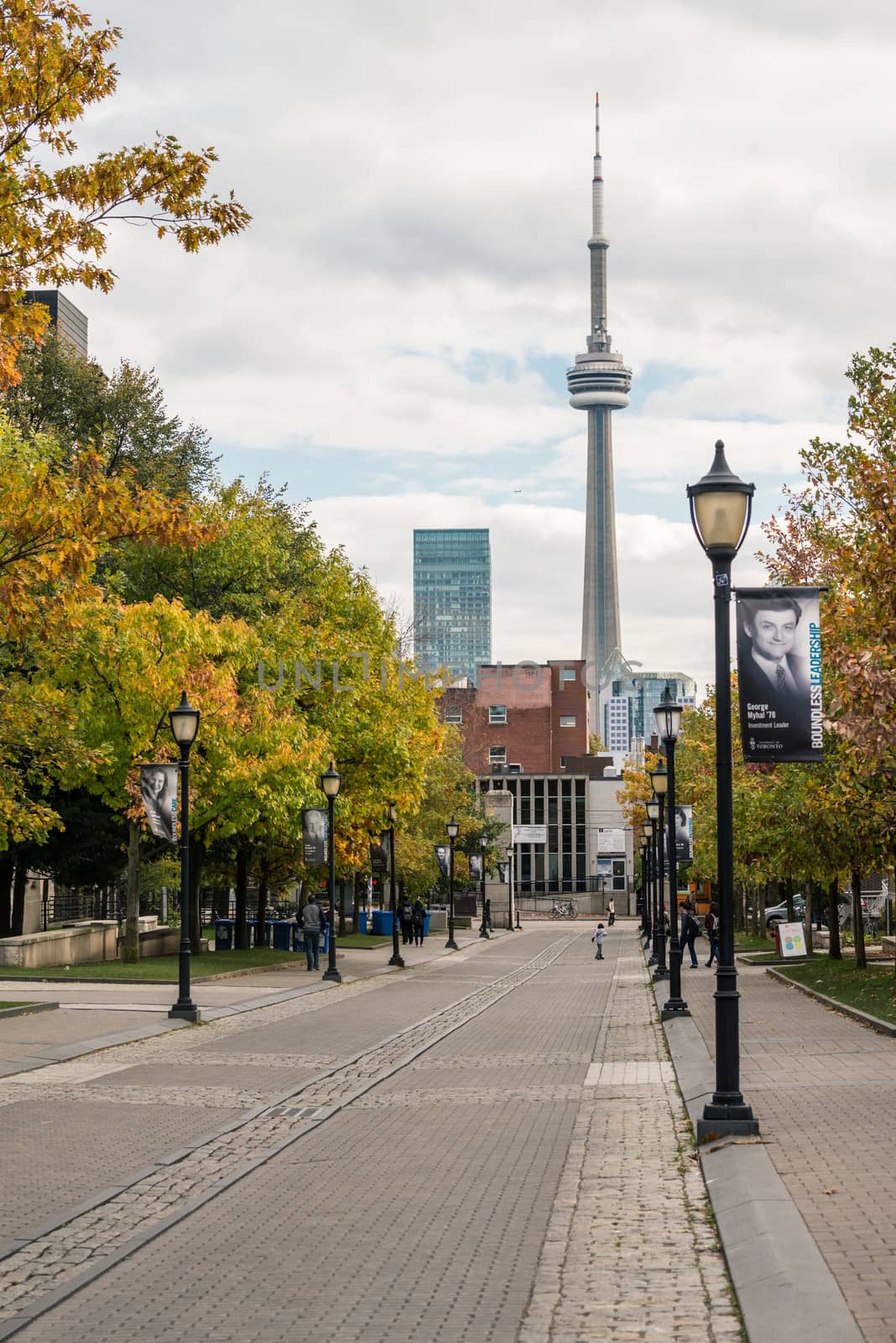 View of CN tower from University of Toronto by IVYPHOTOS