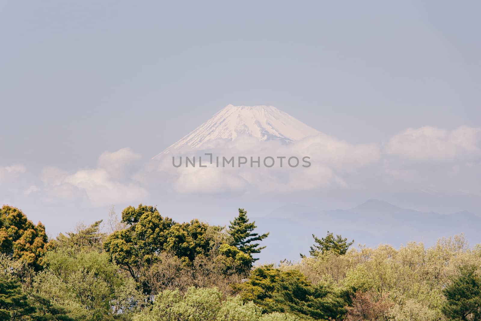 Mt Fuji view in japan