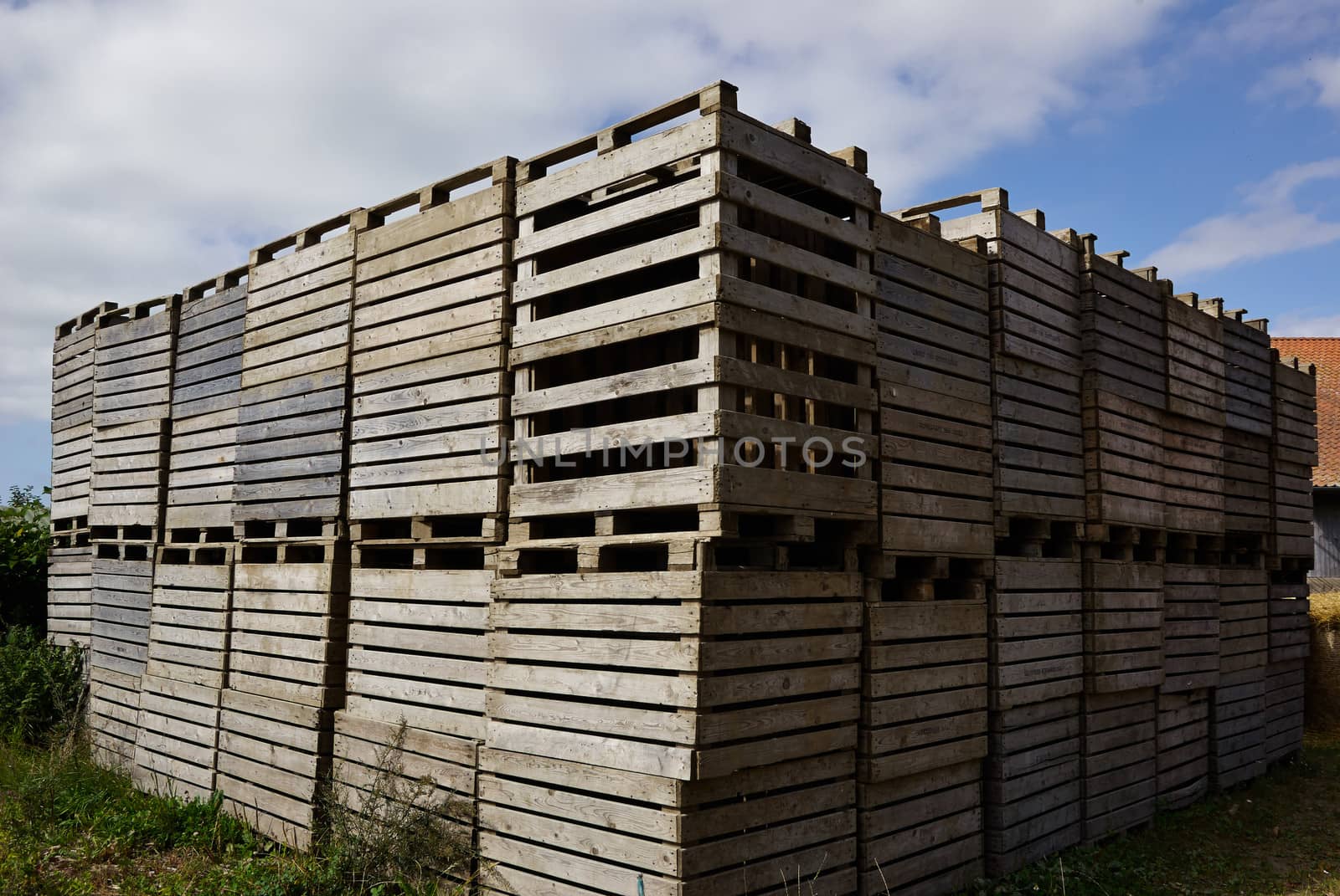Old wooden pallets for cargo and logistic in a farm yard