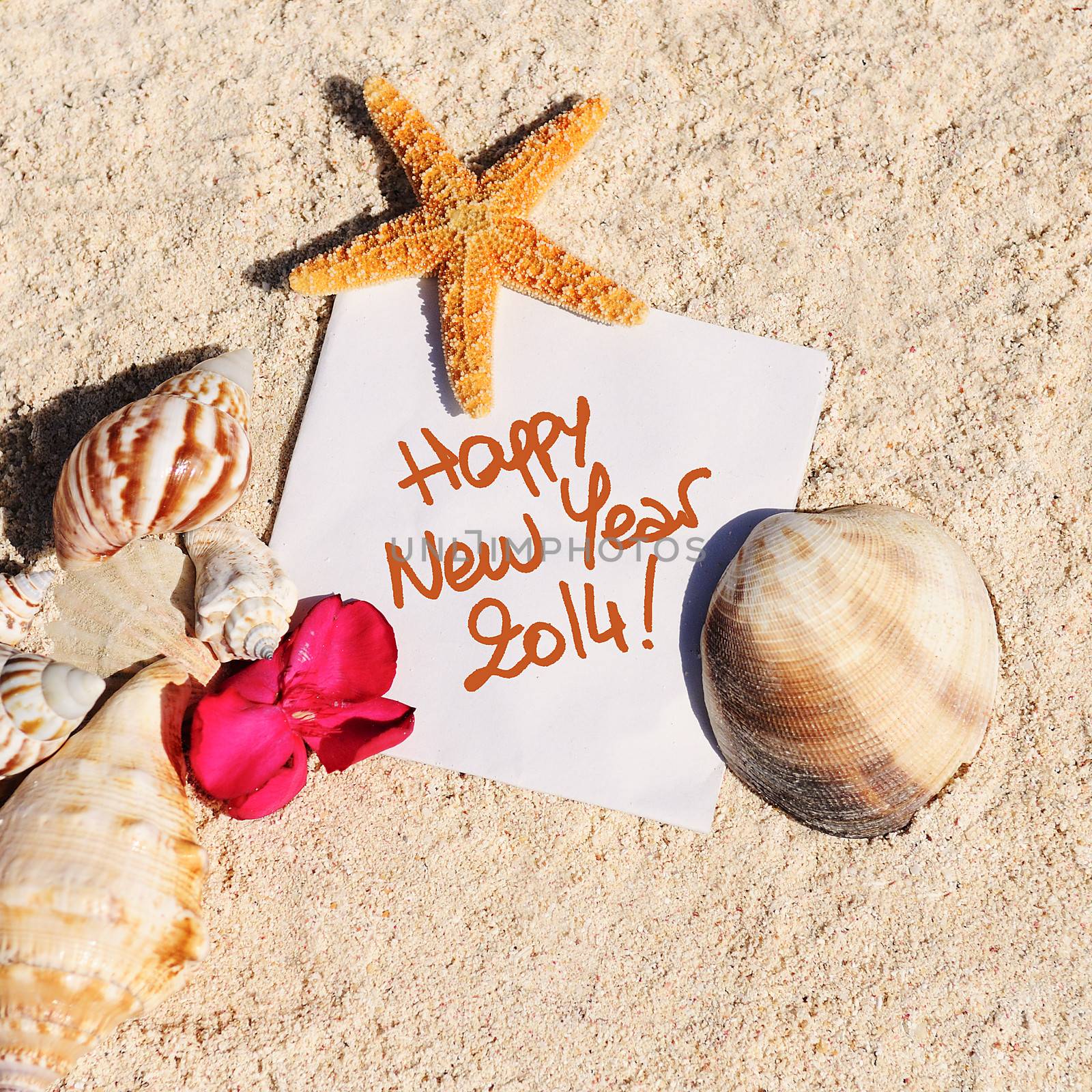 blank paper on white sand beach with starfish and shells like summer vacation background