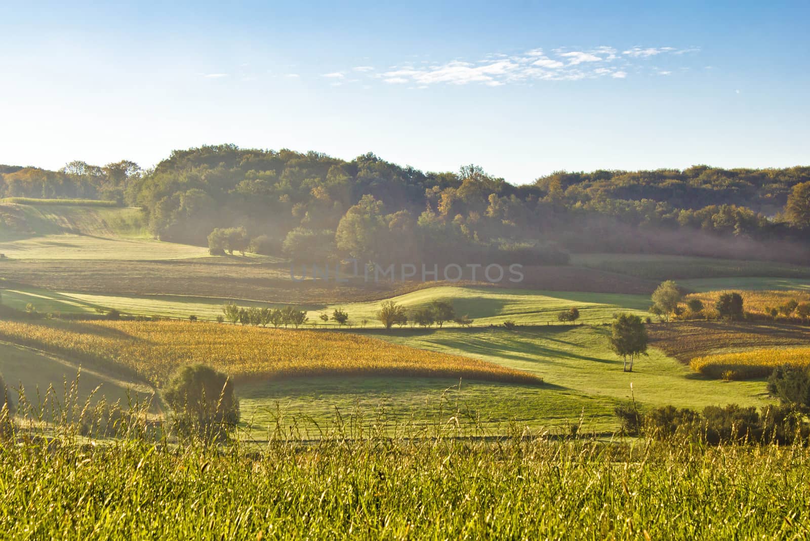 Early morning landscape in fog by xbrchx