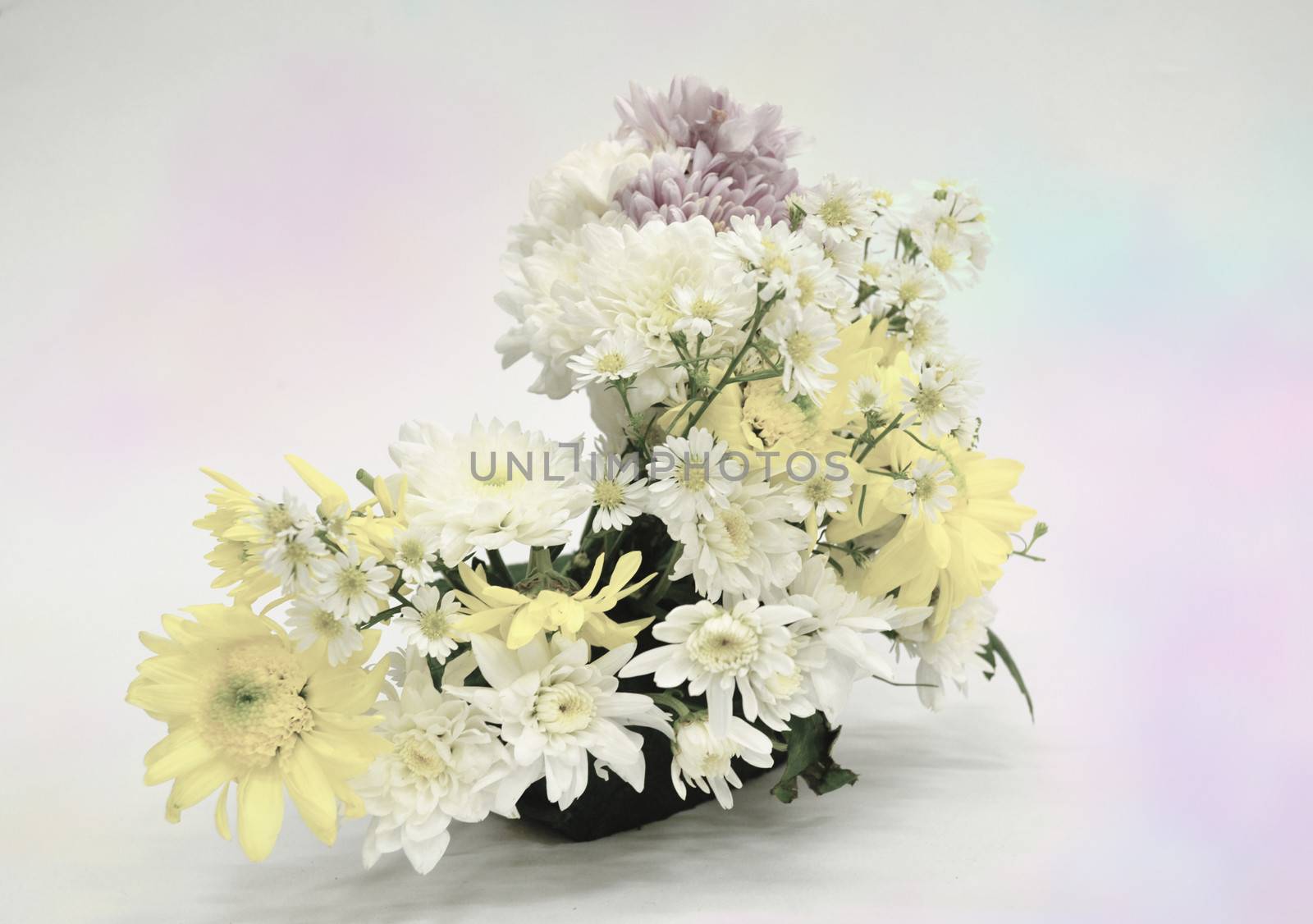 Bouquet of Flowers in a Glass on Pastel background