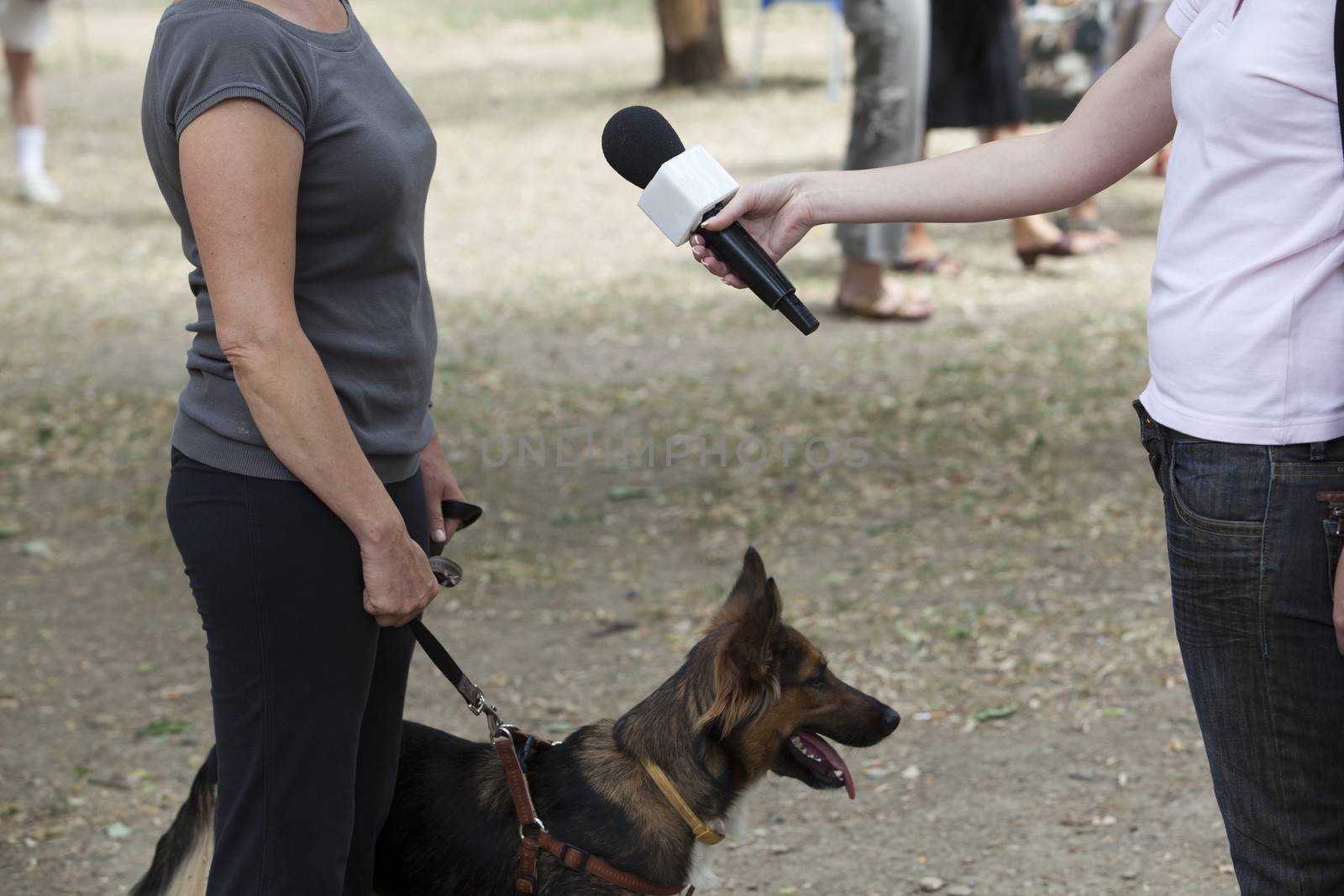 Interview with dog owner