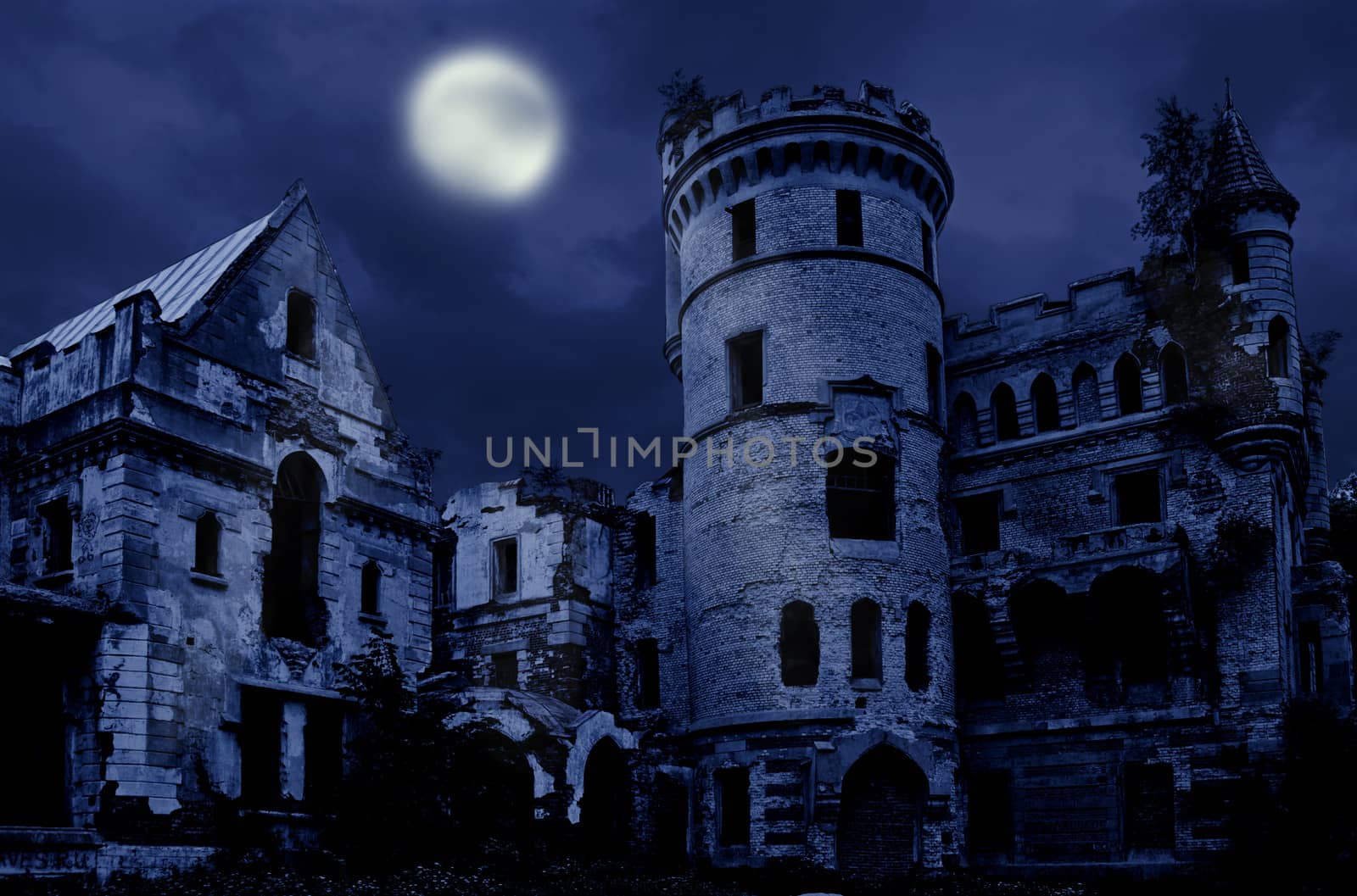 Abandoned manor in gothic style, Muromtzevo, central Russia