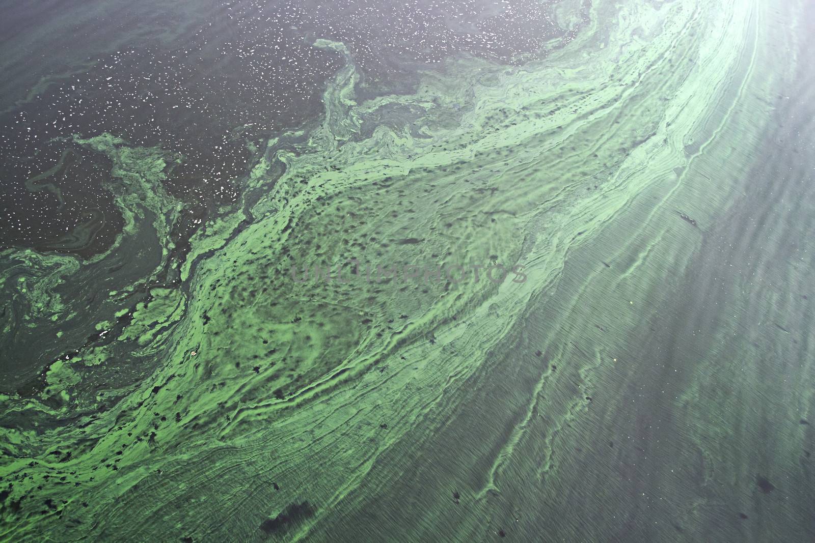 Dirty green river water, view from above