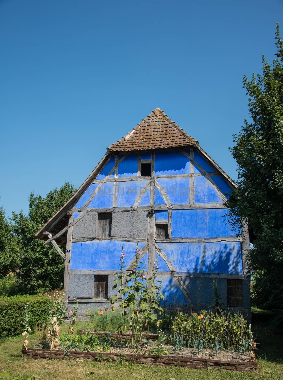 half timbered blue house and garden