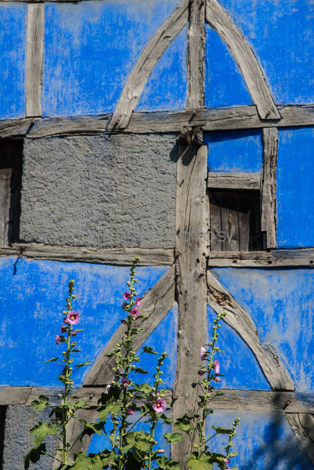 half timbered blue wall