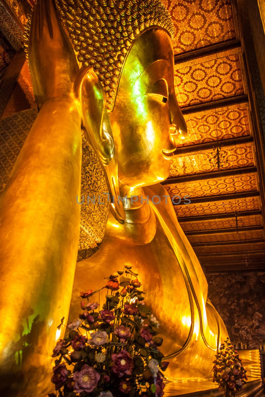 Reclining golden buddha  by kasto