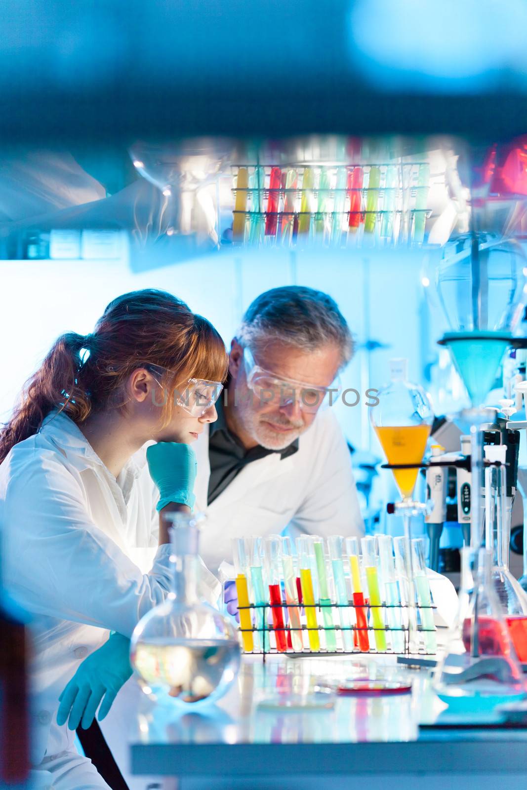 Attractive young female scientist and her senior male supervisor looking at the cell colony grown in the petri dish in the life science research laboratory (bichemistry, genetics, forensics, microbiology..)