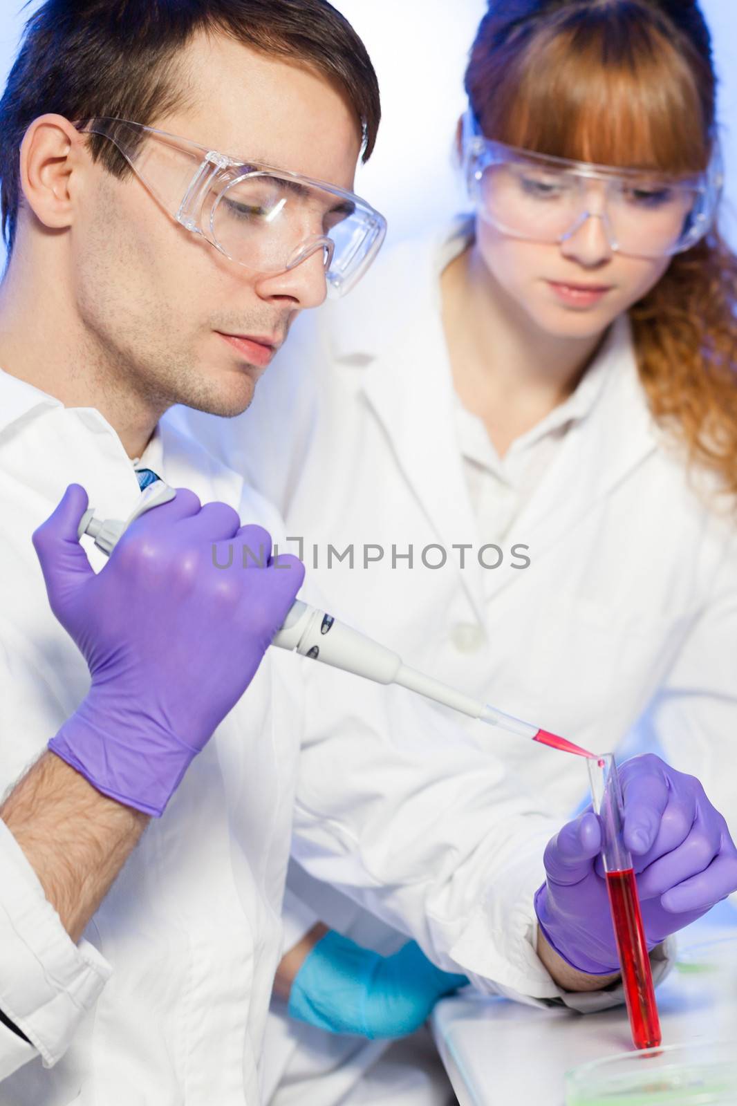 Young male researcher pipetting red liquid in the glass tube in the (forensics, microbiology, biochemistry, genetics, oncology...)laboratory. Female asistant science student watching and learning the protocol.