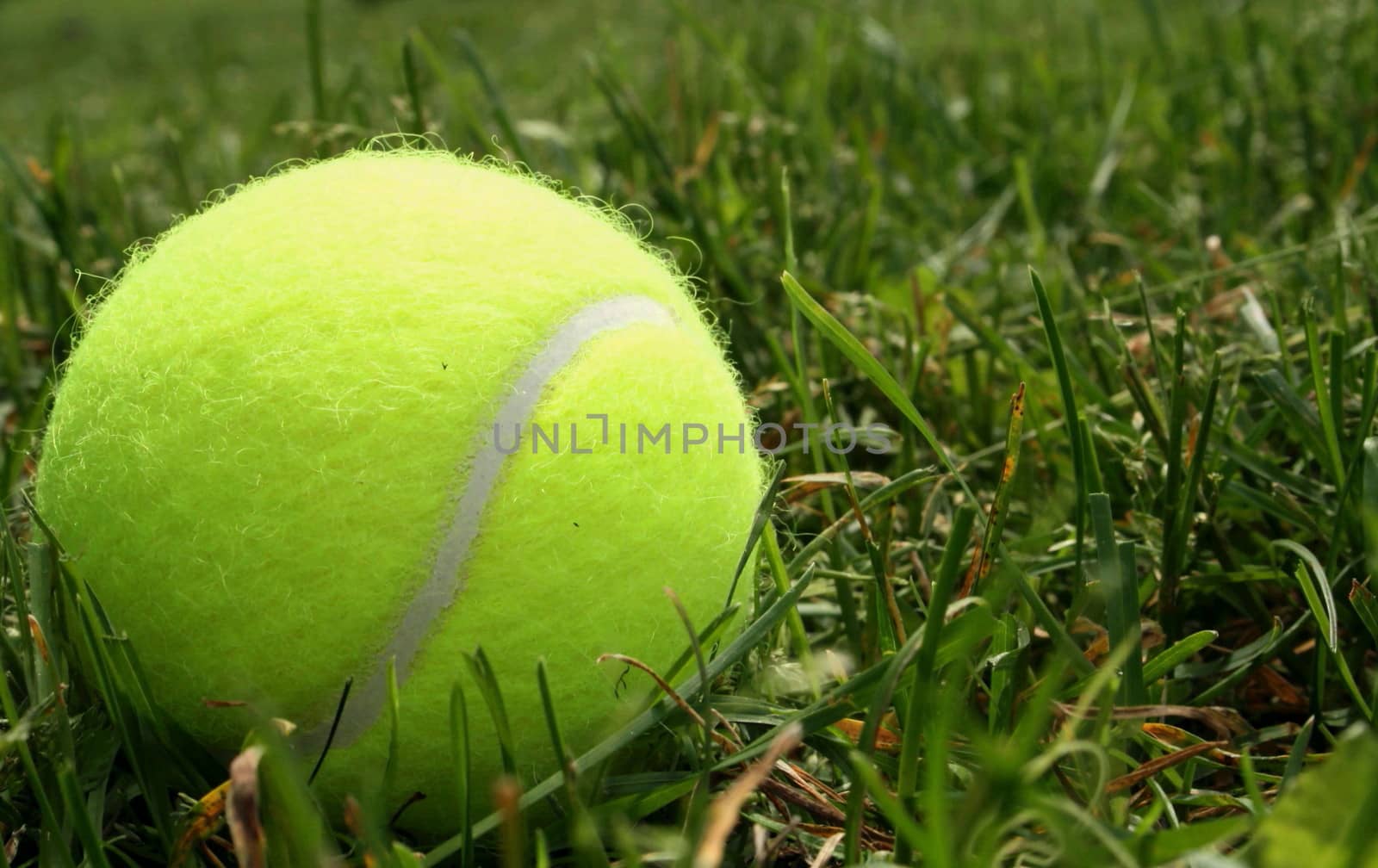 Tennis ball on the grass by vicdemid
