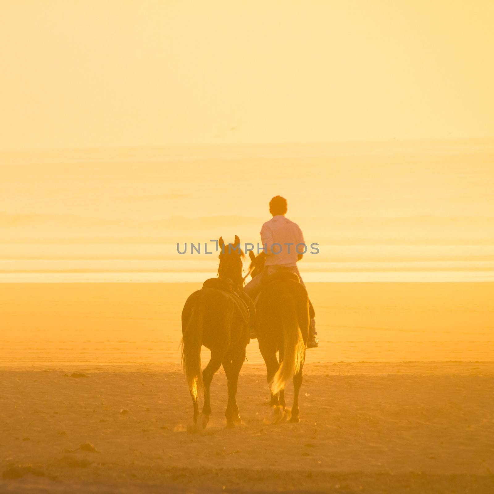 Man horse riding on the beach at sunset.