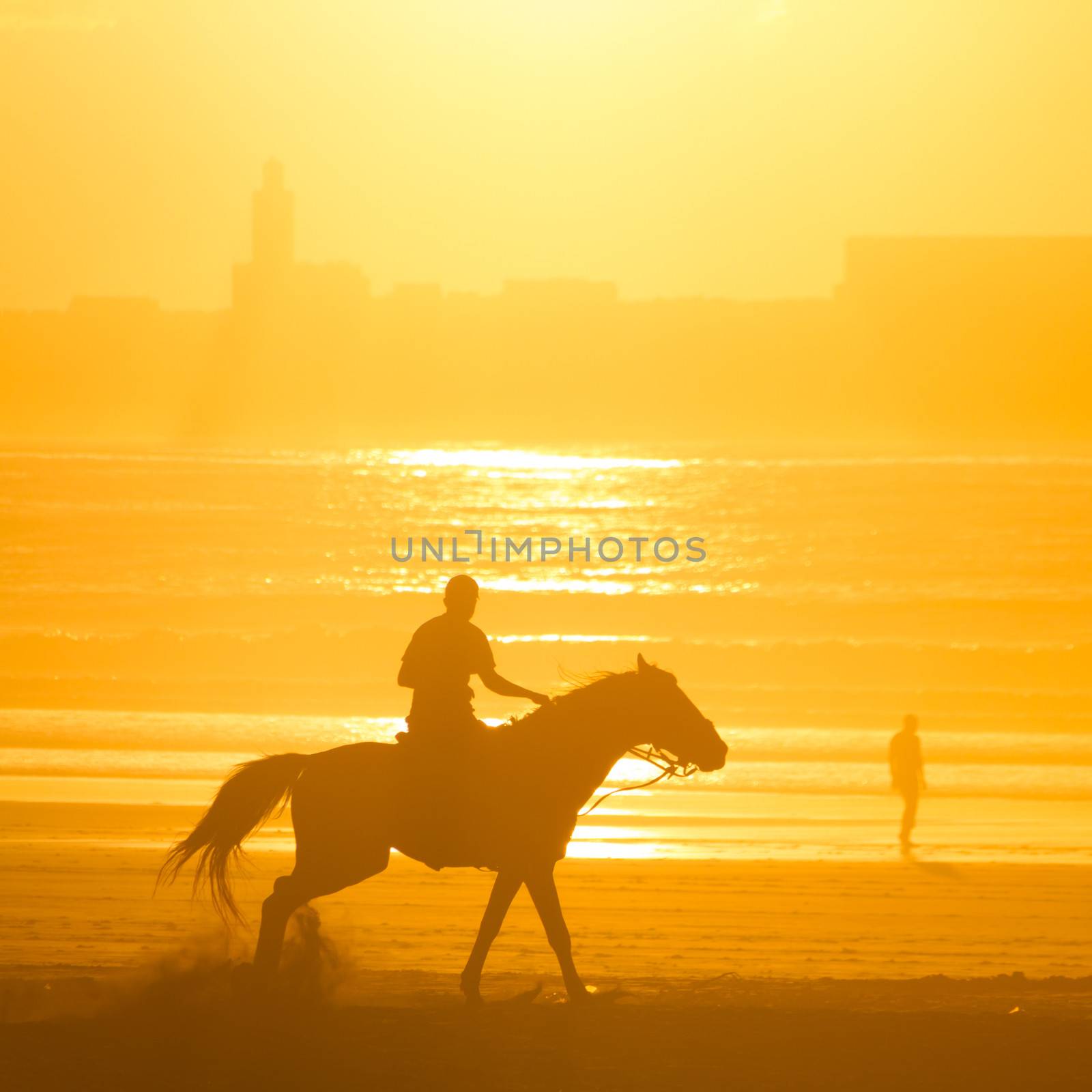 Horse riding on the beach at sunset. by kasto