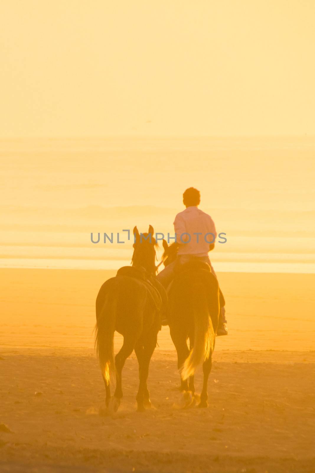 Man horse riding on the beach at sunset.