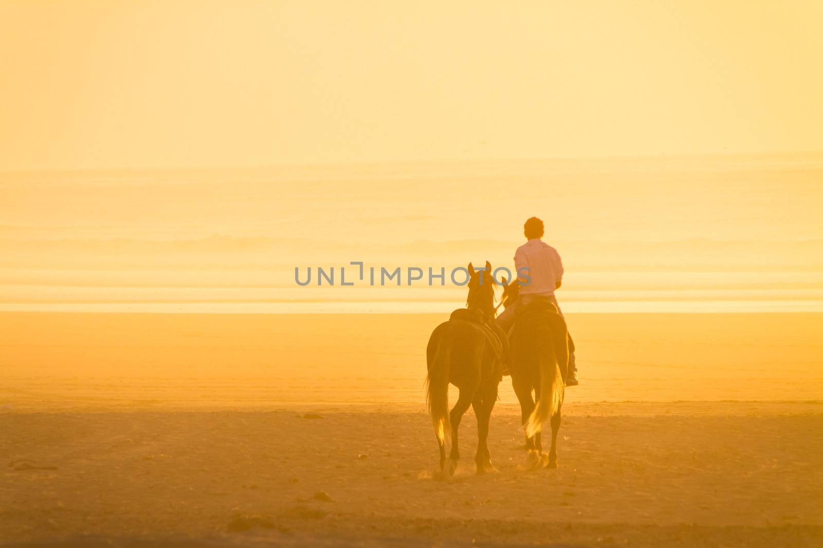 Man horse riding on the beach at sunset.