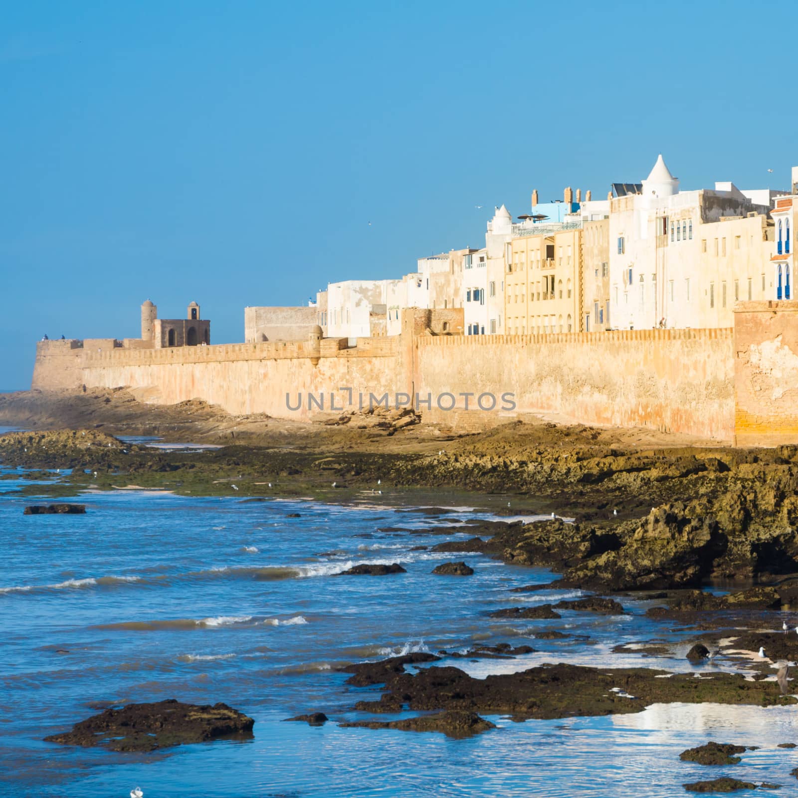 Essaouira is a city in the western Moroccan economic region of Marrakech Tensift Al Haouz, on the Atlantic coast. It has also been known by its Portuguese name of Mogador. Morocco, north Africa.