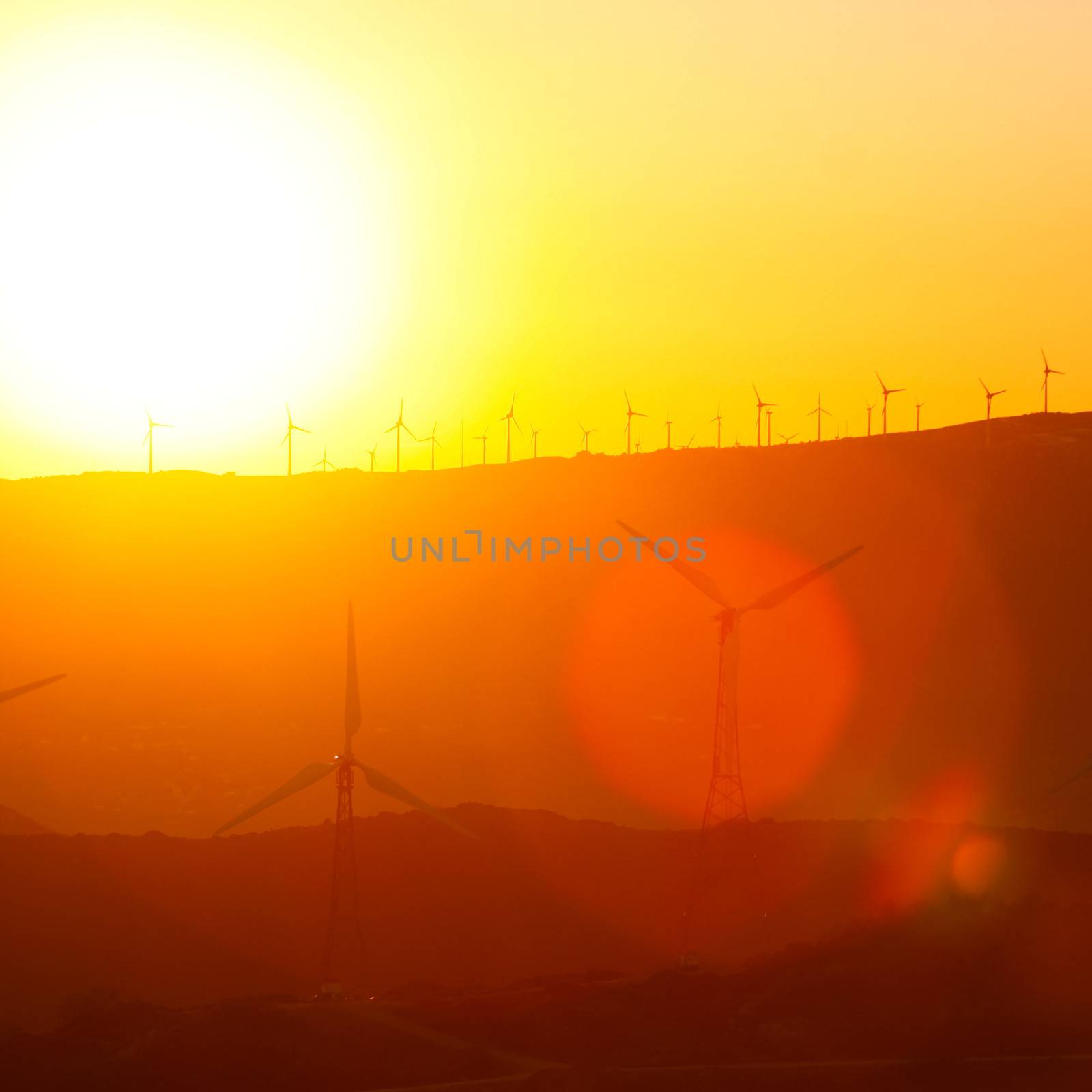 Wind turbines farm at sunset in southern Spain.