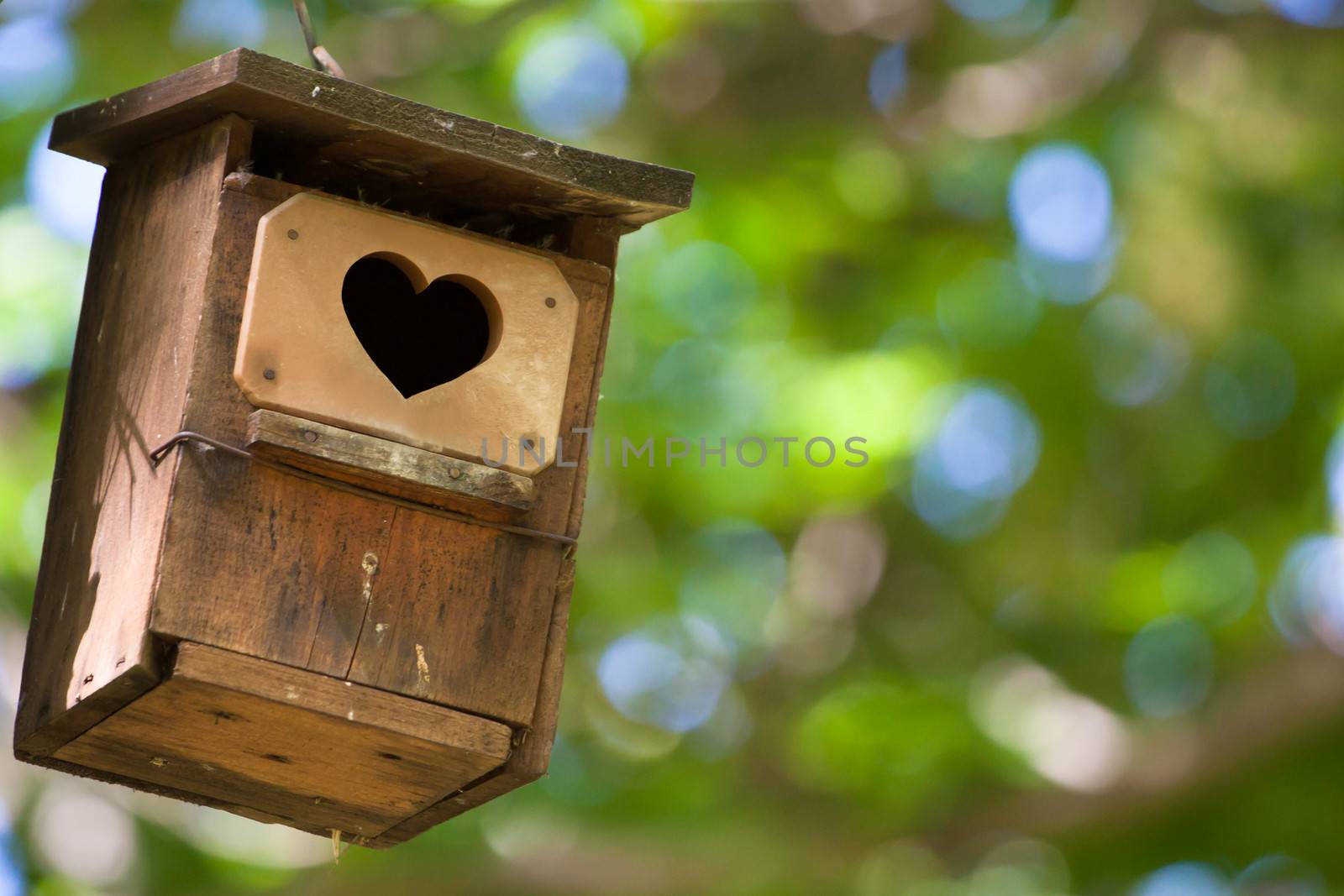 Bird house hanging from the tree with the entrance hole in the shape of a heart.