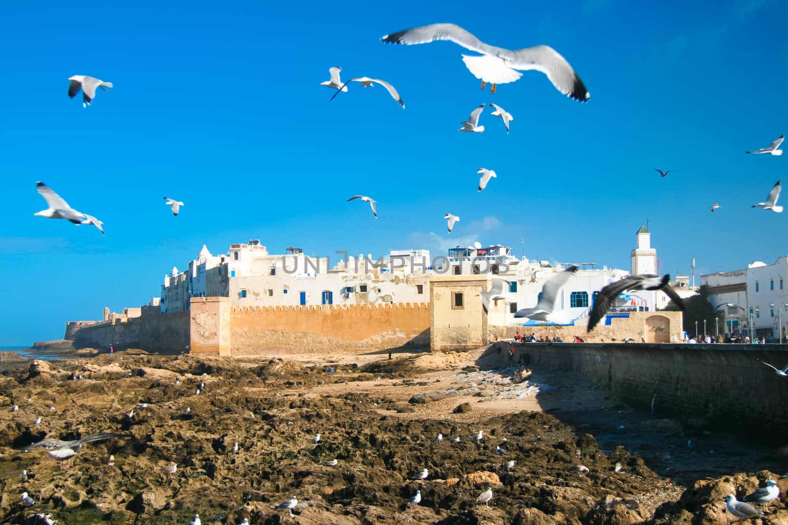 Essaouira is a city in the western Moroccan economic region of Marrakech-Tensift-Al Haouz, on the Atlantic coast. Since the 16th century, the city has also been known by its Portuguese name of Mogador or Mogadore. Morocco, north Africa.