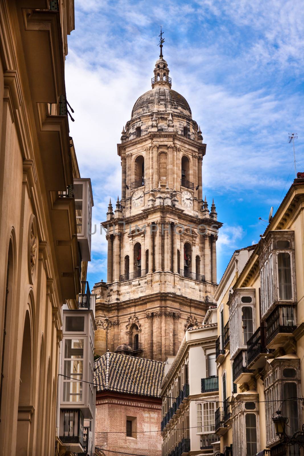 View on the belfray of the Malaga's cathedral