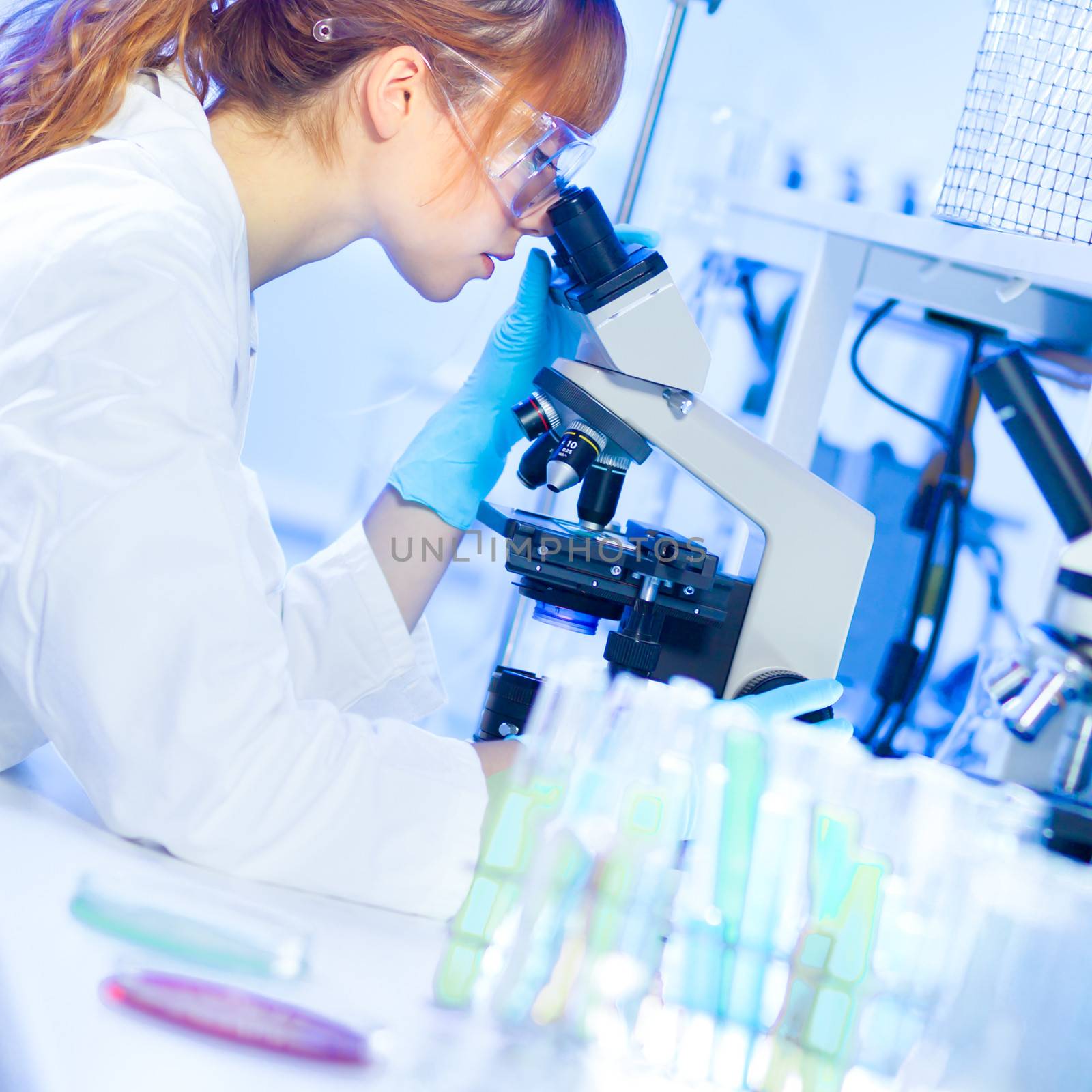 Young female life science researcher looking at the microscope slide in the life science (forensics, microbiology, biochemistry, genetics, oncology...) laboratory.