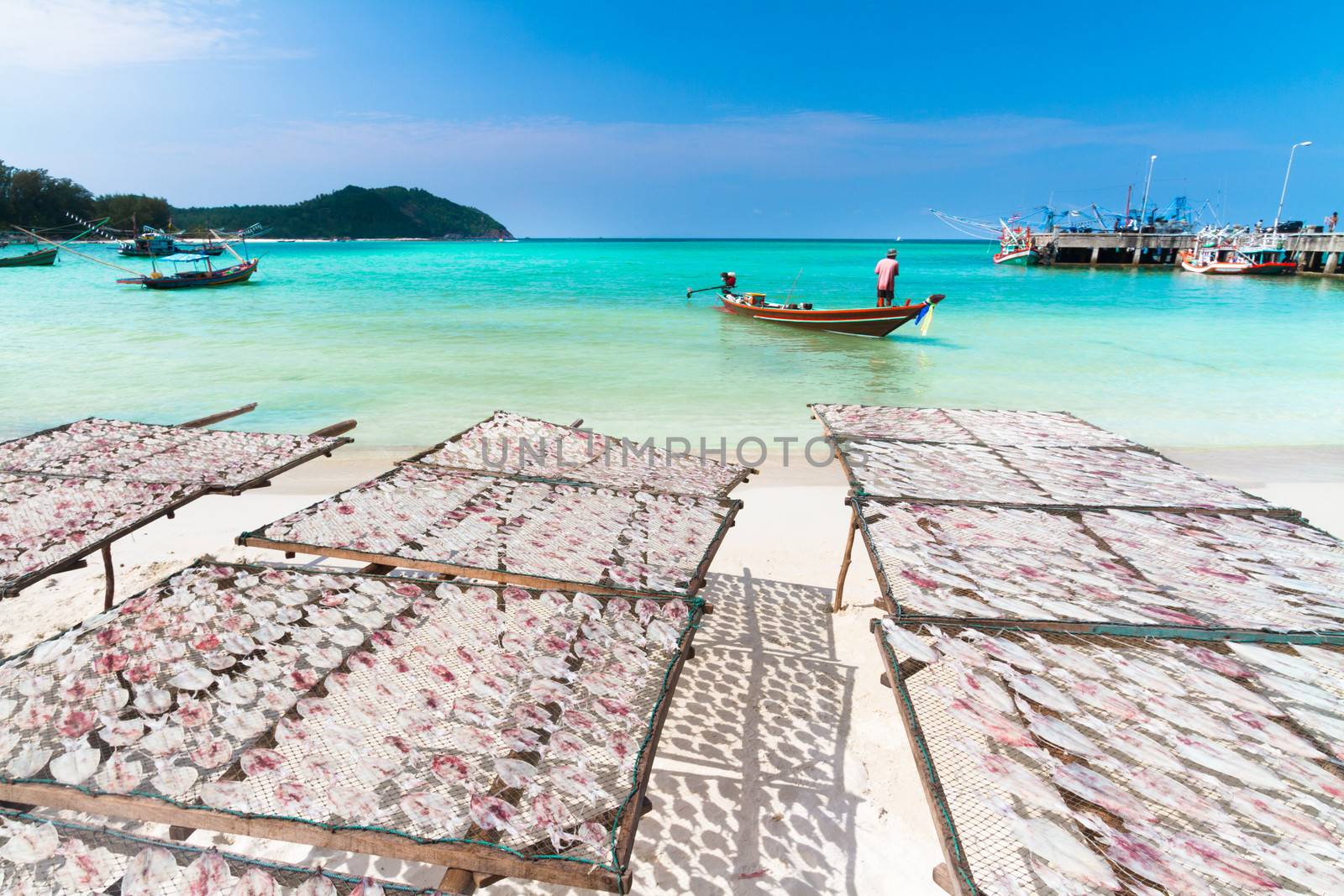 Traditional squids drying in the sun and thai fisherman long tail boat in a idyllic fishermen village; Thailand, Asia.