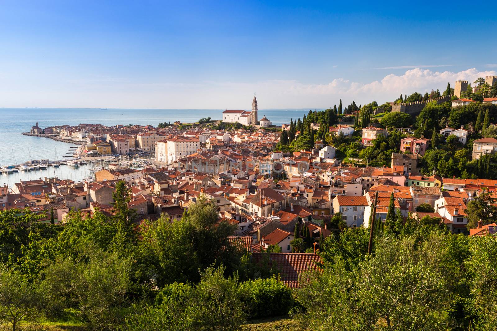 Picturesque old town Piran - Slovenia. by kasto