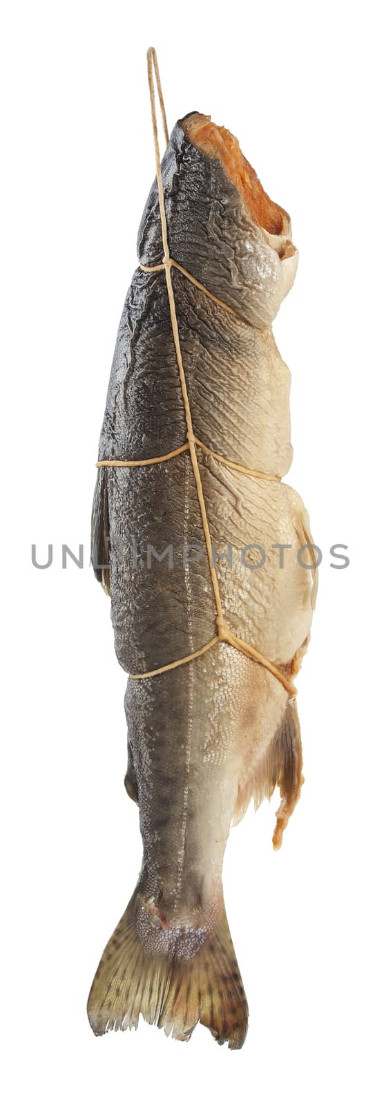 Suspended trunk of a smoked salmon on the white background