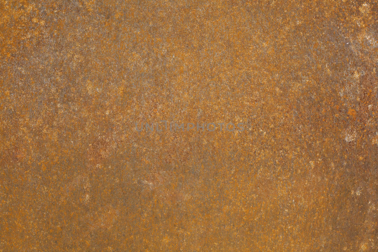 Rusty background by wellphoto