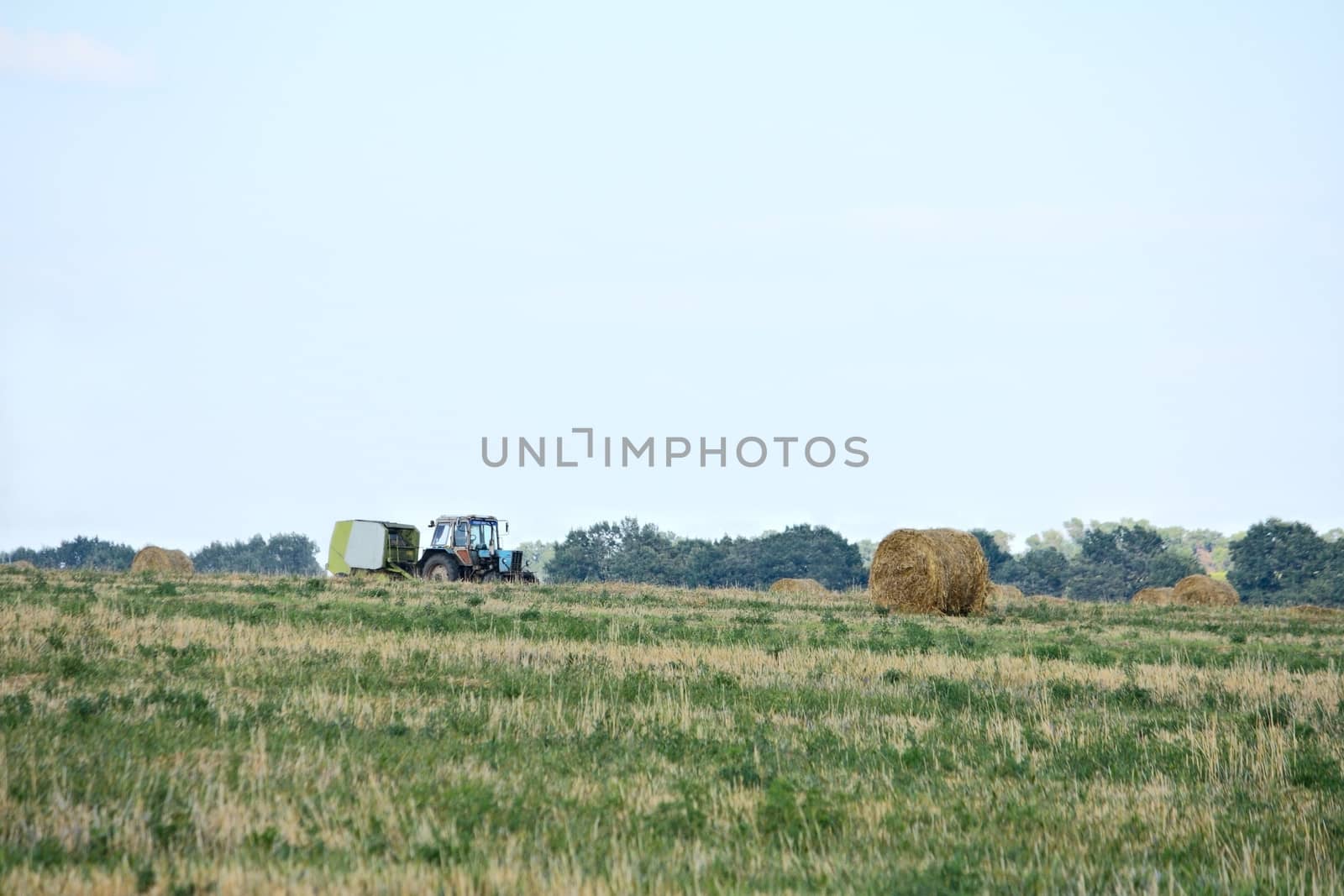 Tractor harvesting crop by dedmorozz