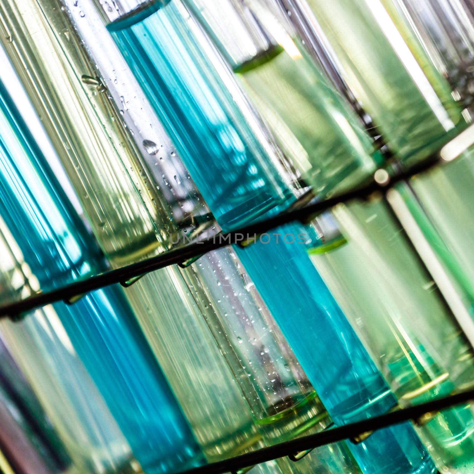 Laboratory glass test tubes. by kasto