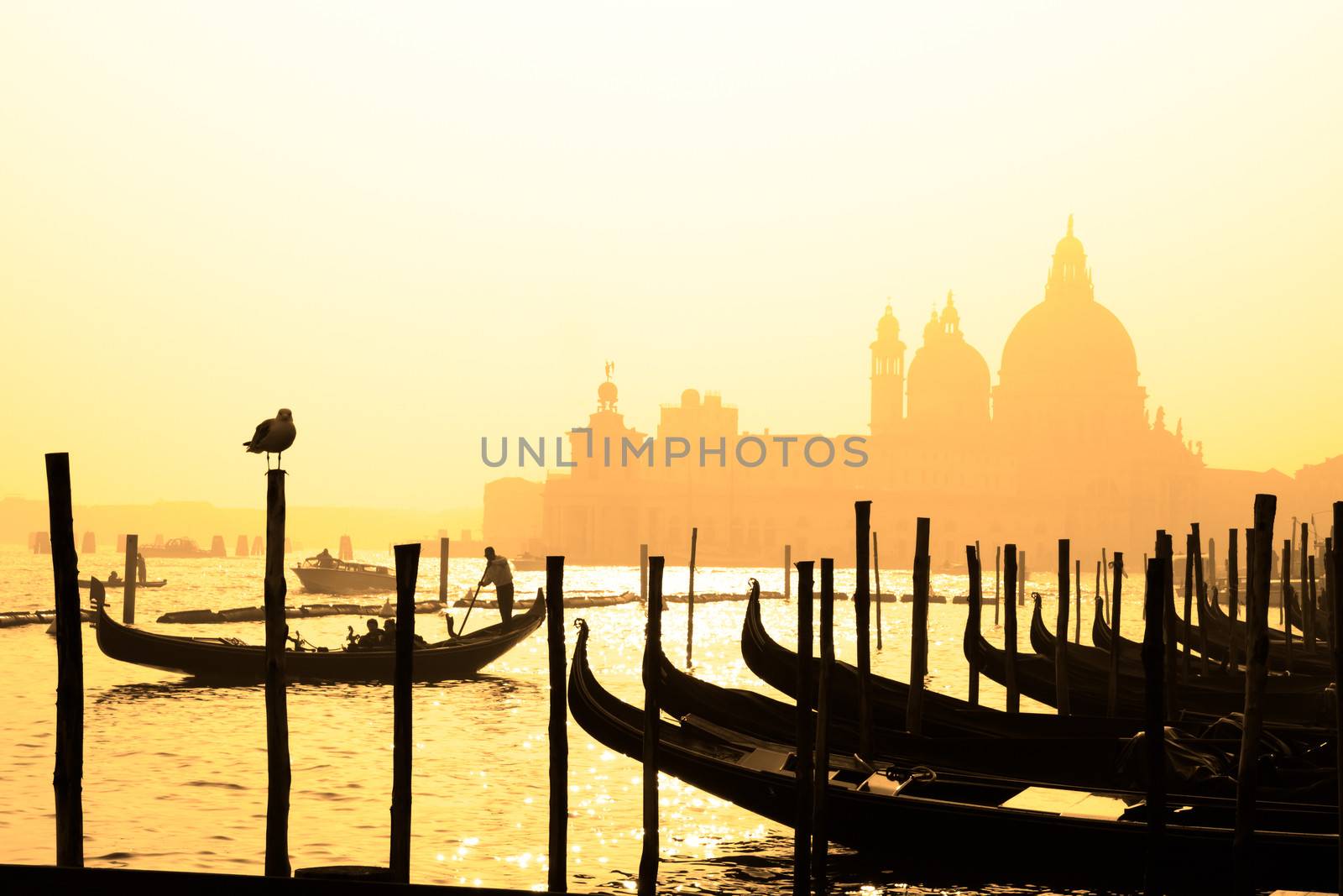 Romantic Italian city of Venice (Venezia), a World Heritage Site: traditional Venetian wooden boats, gondolier and Roman Catholic church Basilica di Santa Maria della Salute in the misty background.