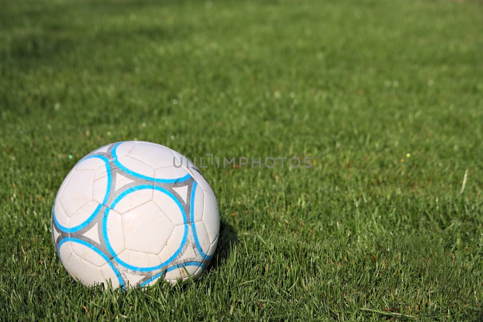 Soccer ball on the green grass by dedmorozz