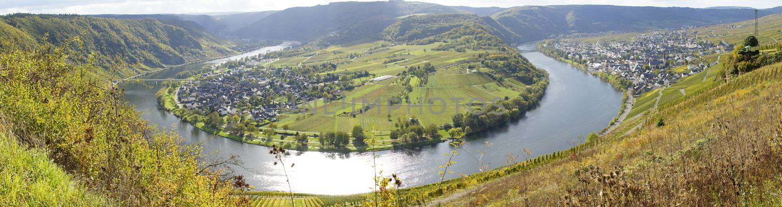 Moselschleife bei Wolf und Kröv Panorama