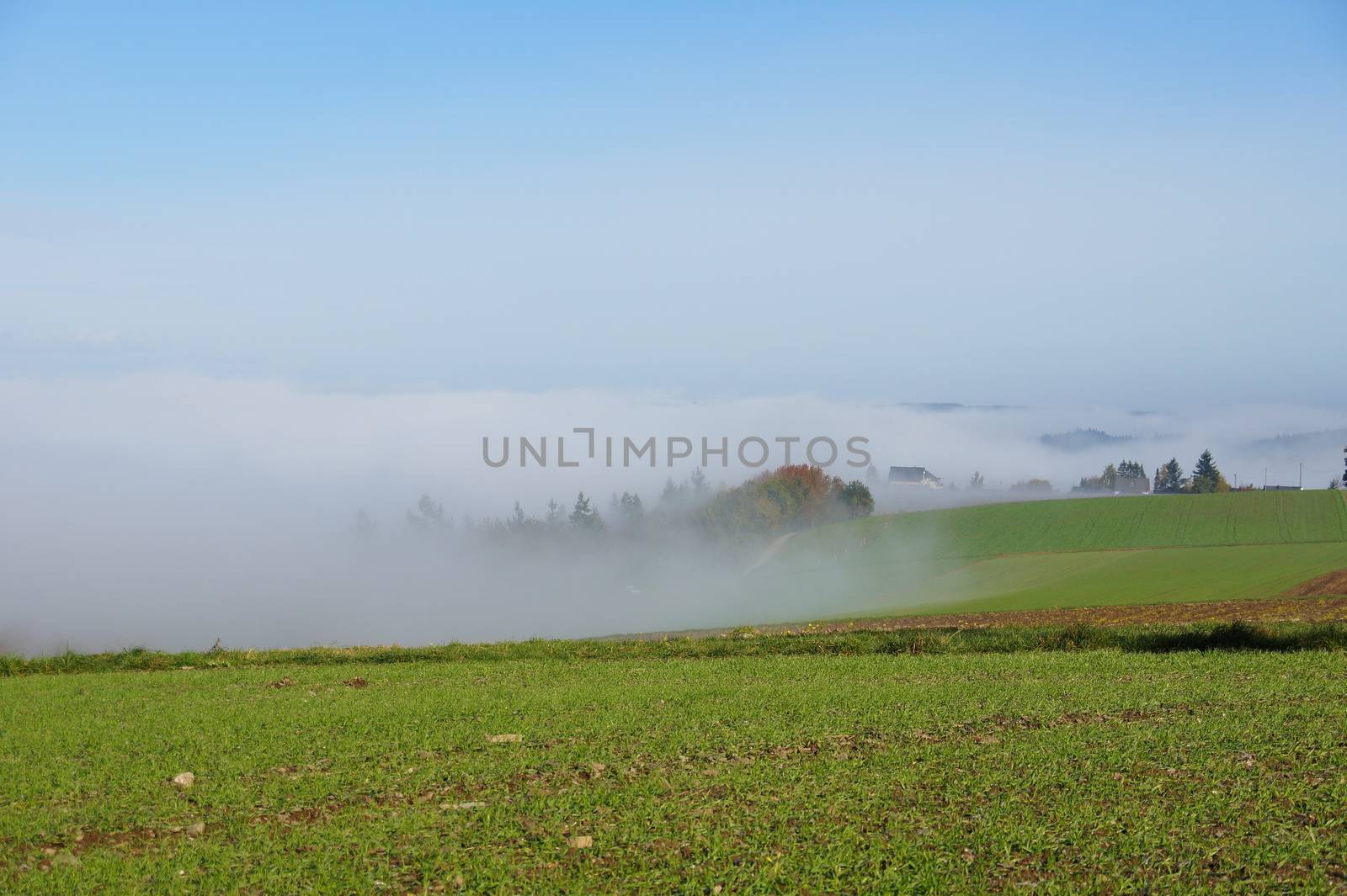 Nebel zieht aus dem Tal über die Felder