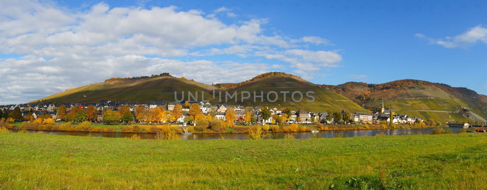 Zeltingen an der Mosel Panorama im Herbst
 