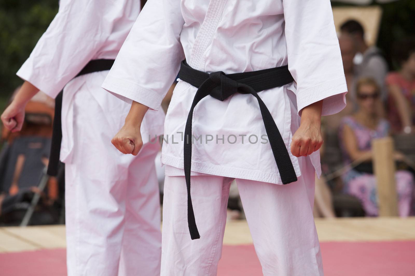 Karate position