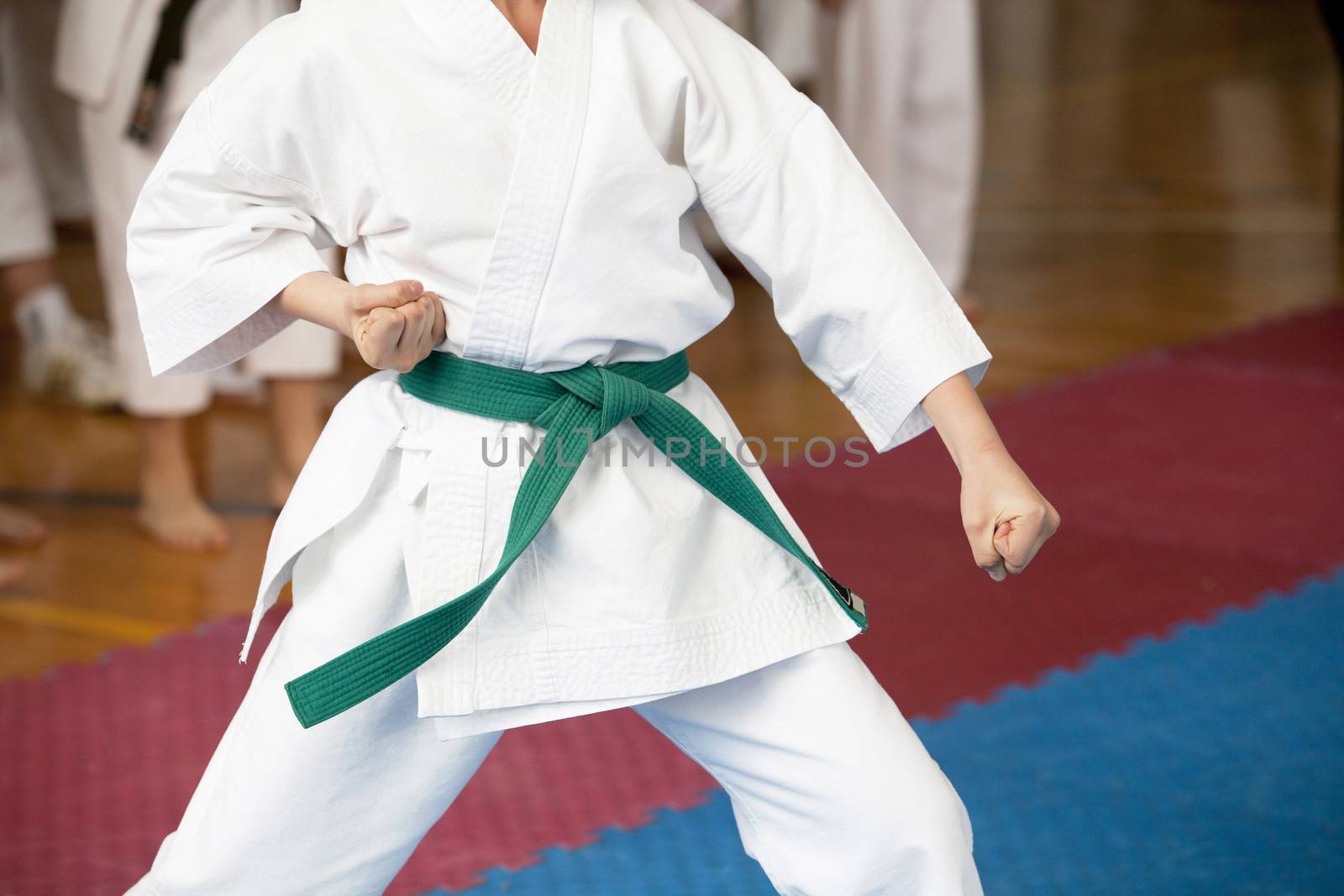 Karate training by wellphoto