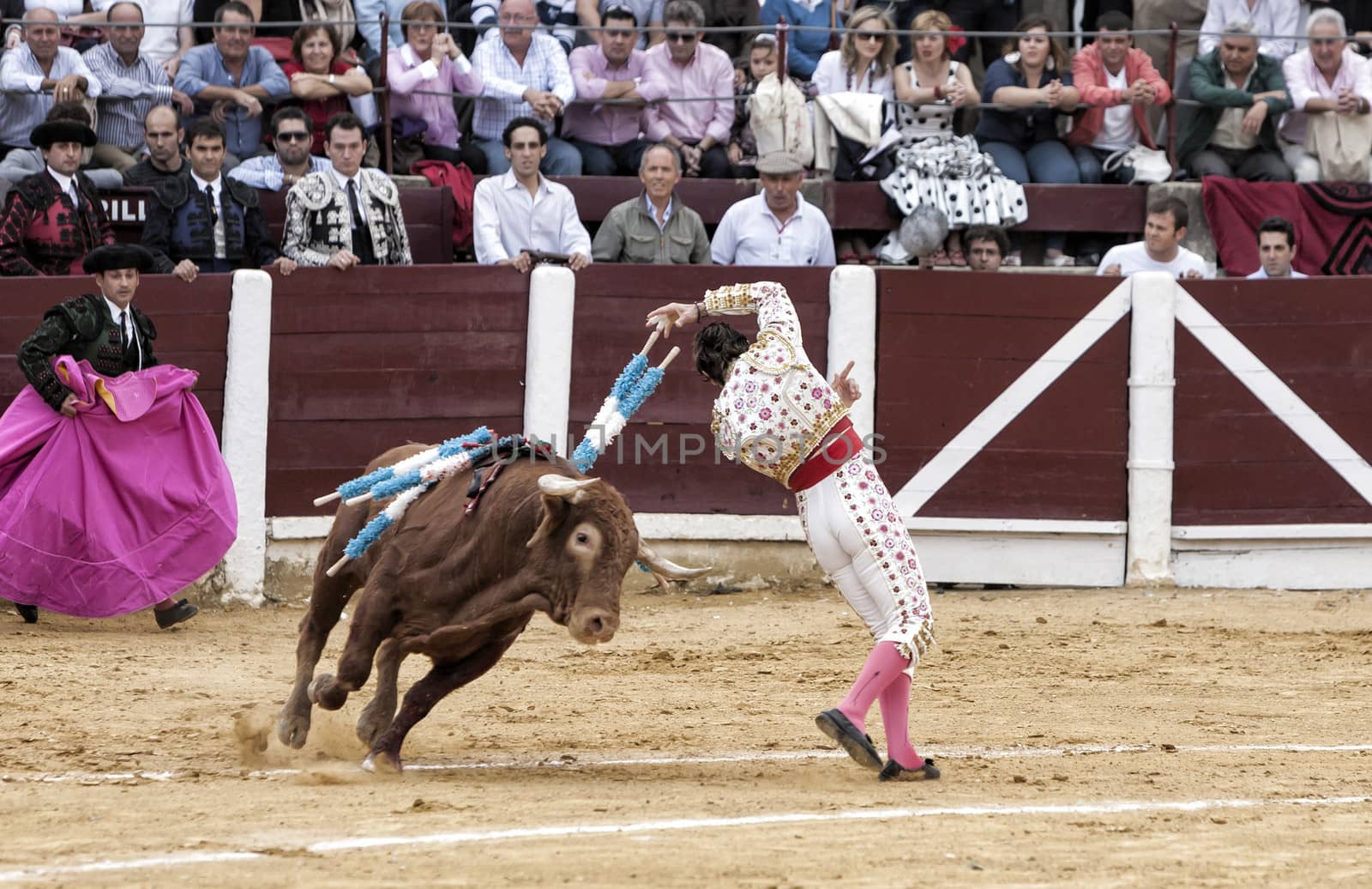 Ubeda, Jaen province, SPAIN - 3 october 2010: Spainish bullfighter Juan Jose Padilla fixing banderillas to the bull to the style called violin to 650 kg bull in the Bullring of Ubeda, Jaen province, Andalusia, Spain