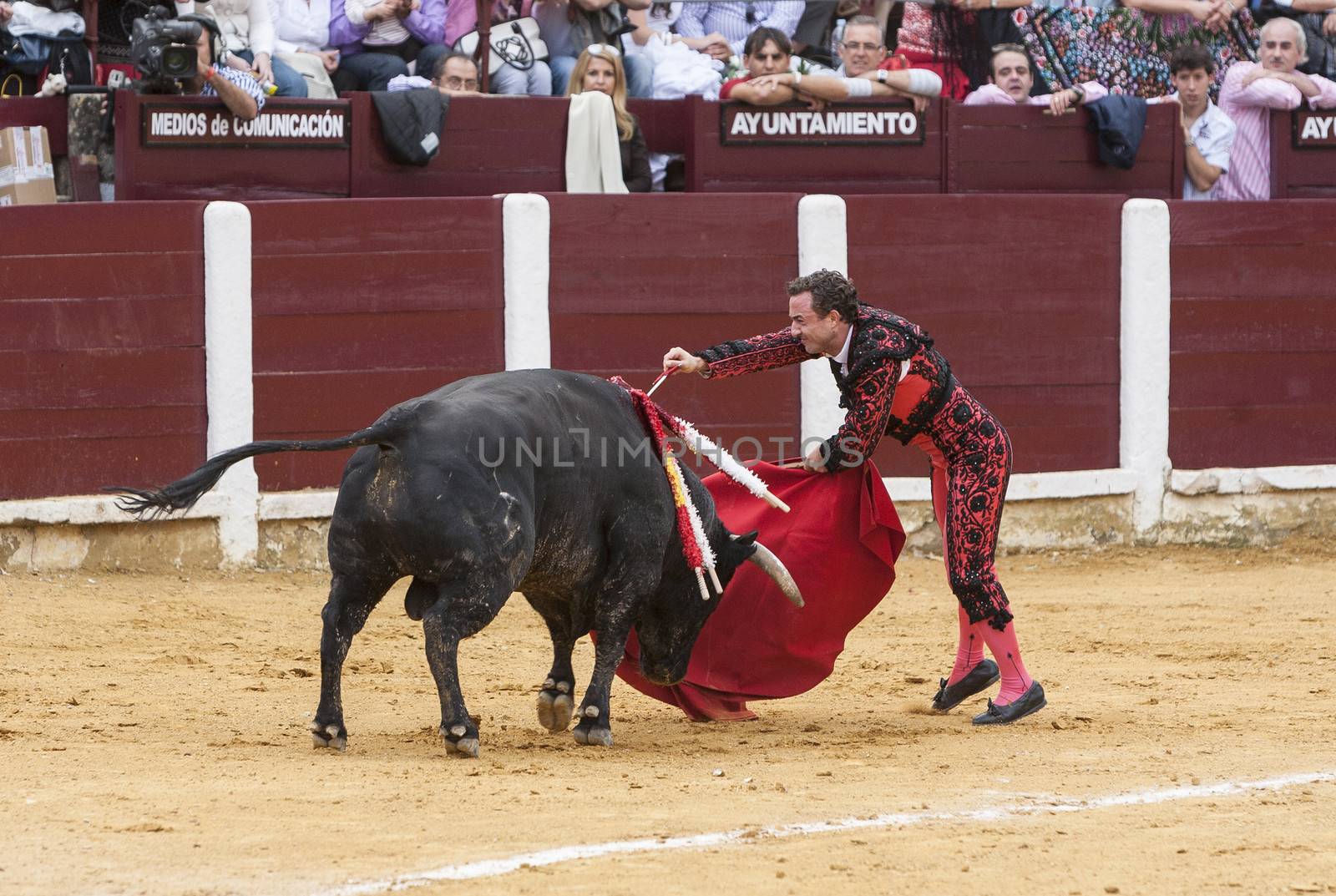 Ubeda, Jaen province, SPAIN - 3 october 2010: Spainish bullfighter Rafaelillo bullfighting stabbing a bull in the Bullring of Ubeda, Jaen province, Andalusia, Spain