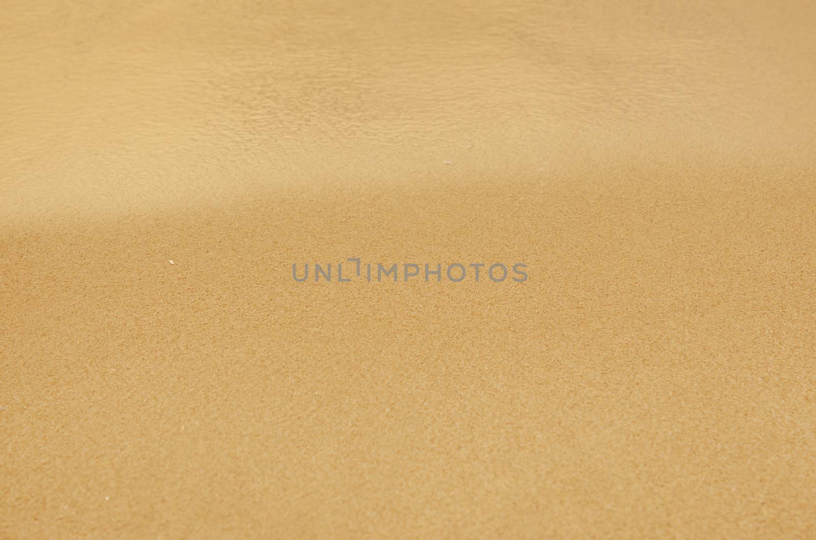 Sandy beach background. Detailed sand texture and water . Top view