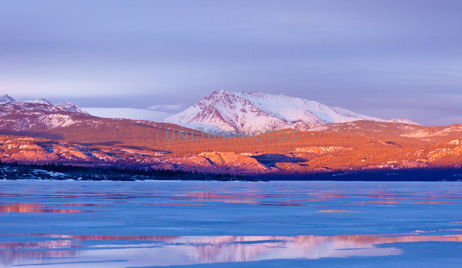 Warm evening light on snow-covered Mount Laurier on the eastern shore of frozen Lake Laberge, Yukon Territory, Canada