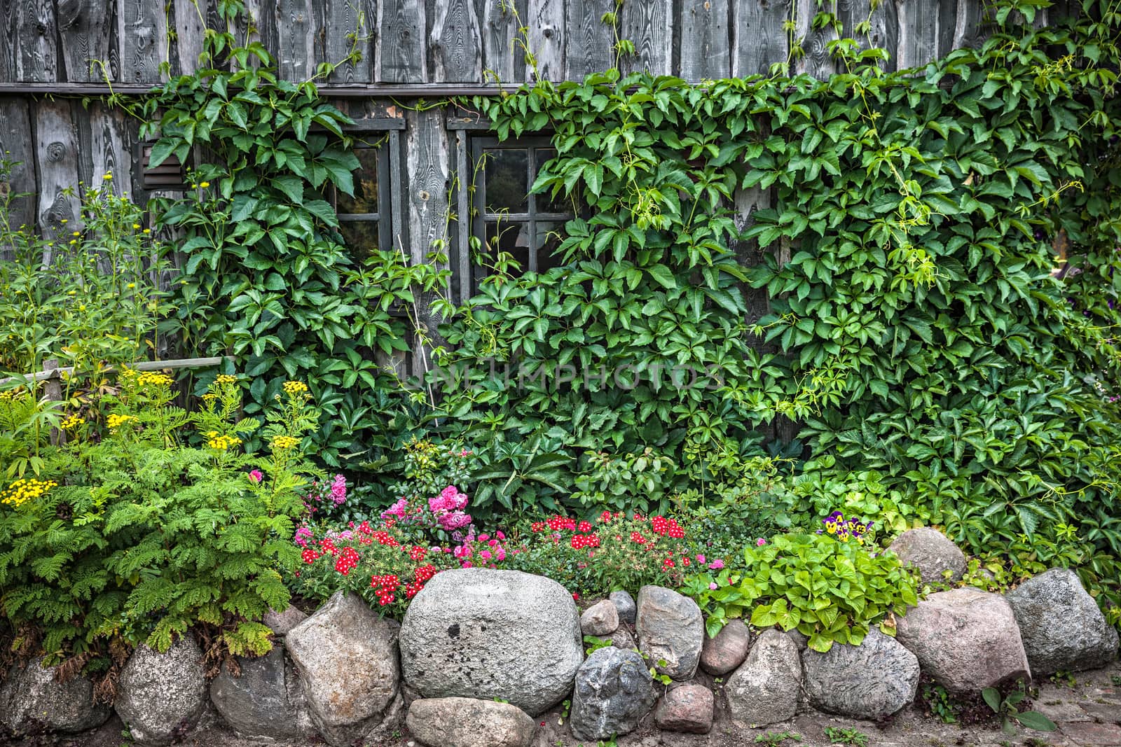 Old small wooden cottage and stone wall with flowers