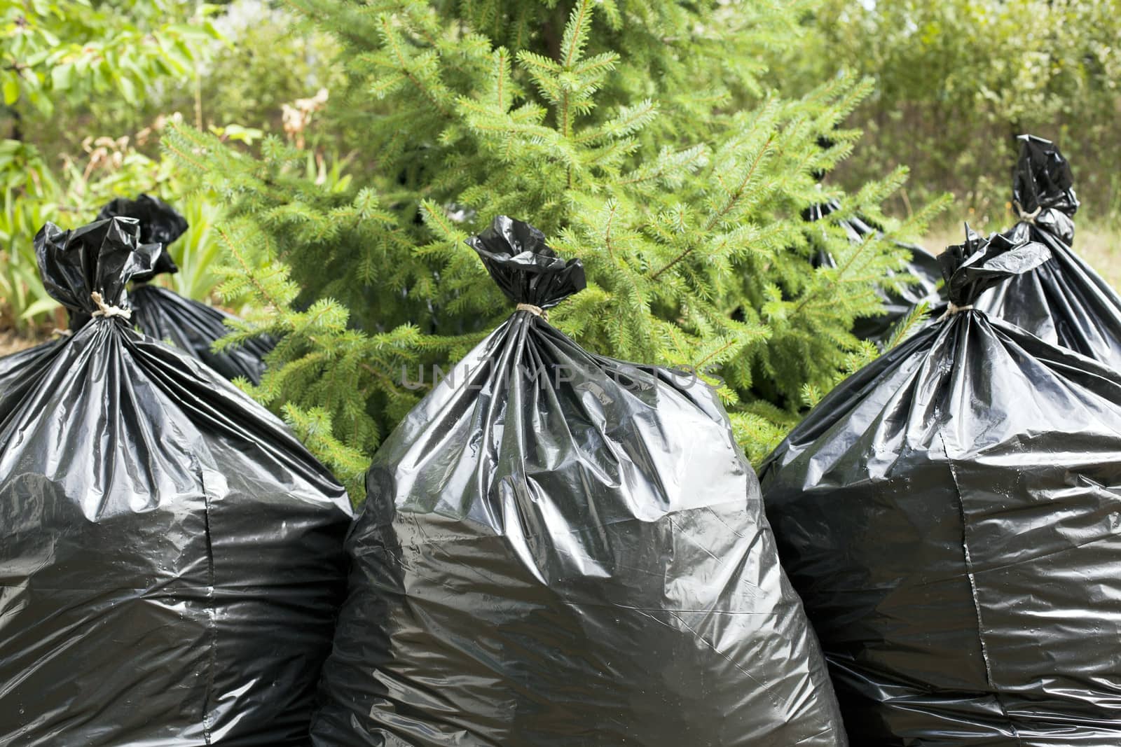 A pile of black garbage bags