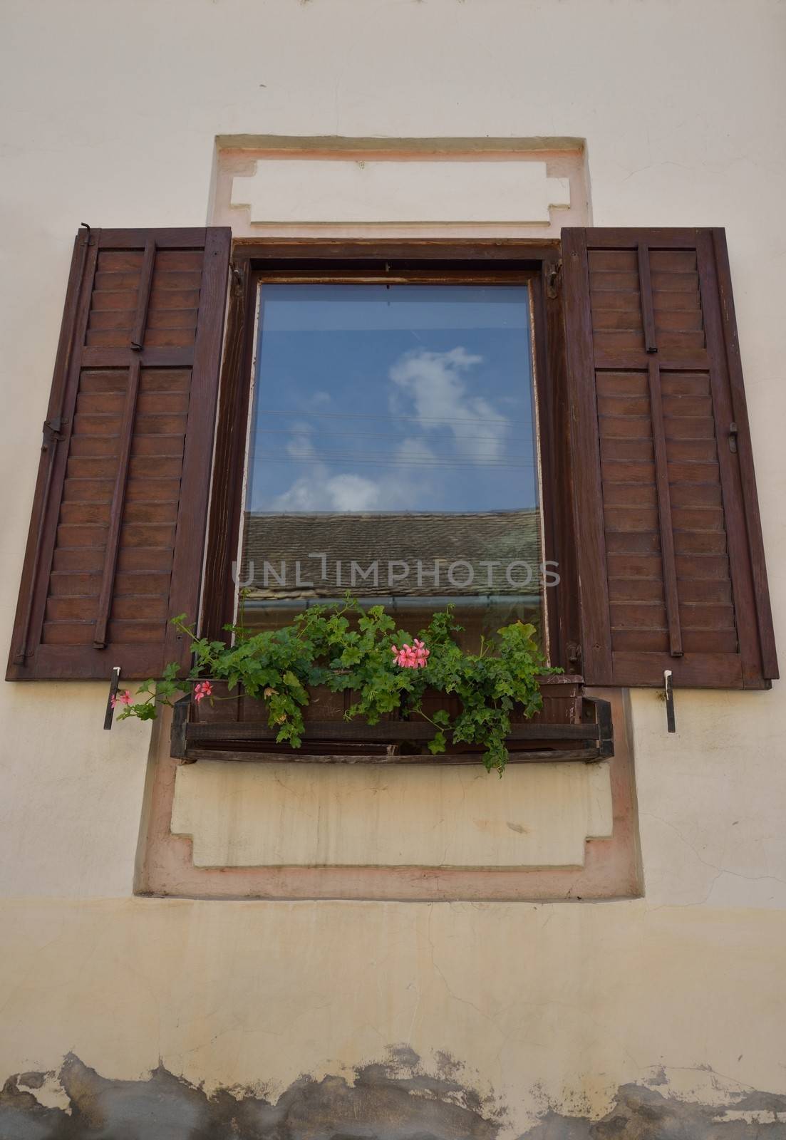 Window with flowers by zagart36