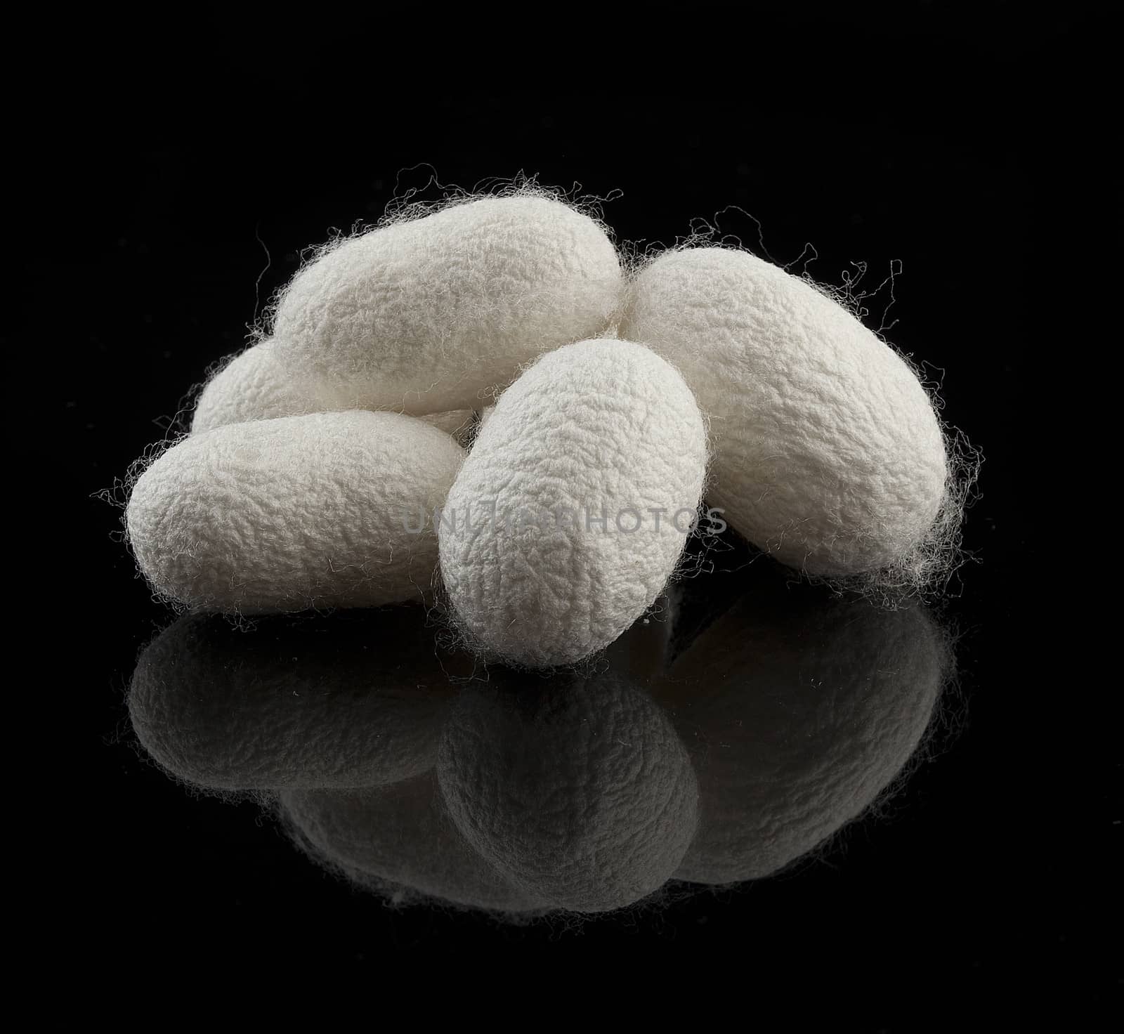 Some cocoons of the silkworm on the black background