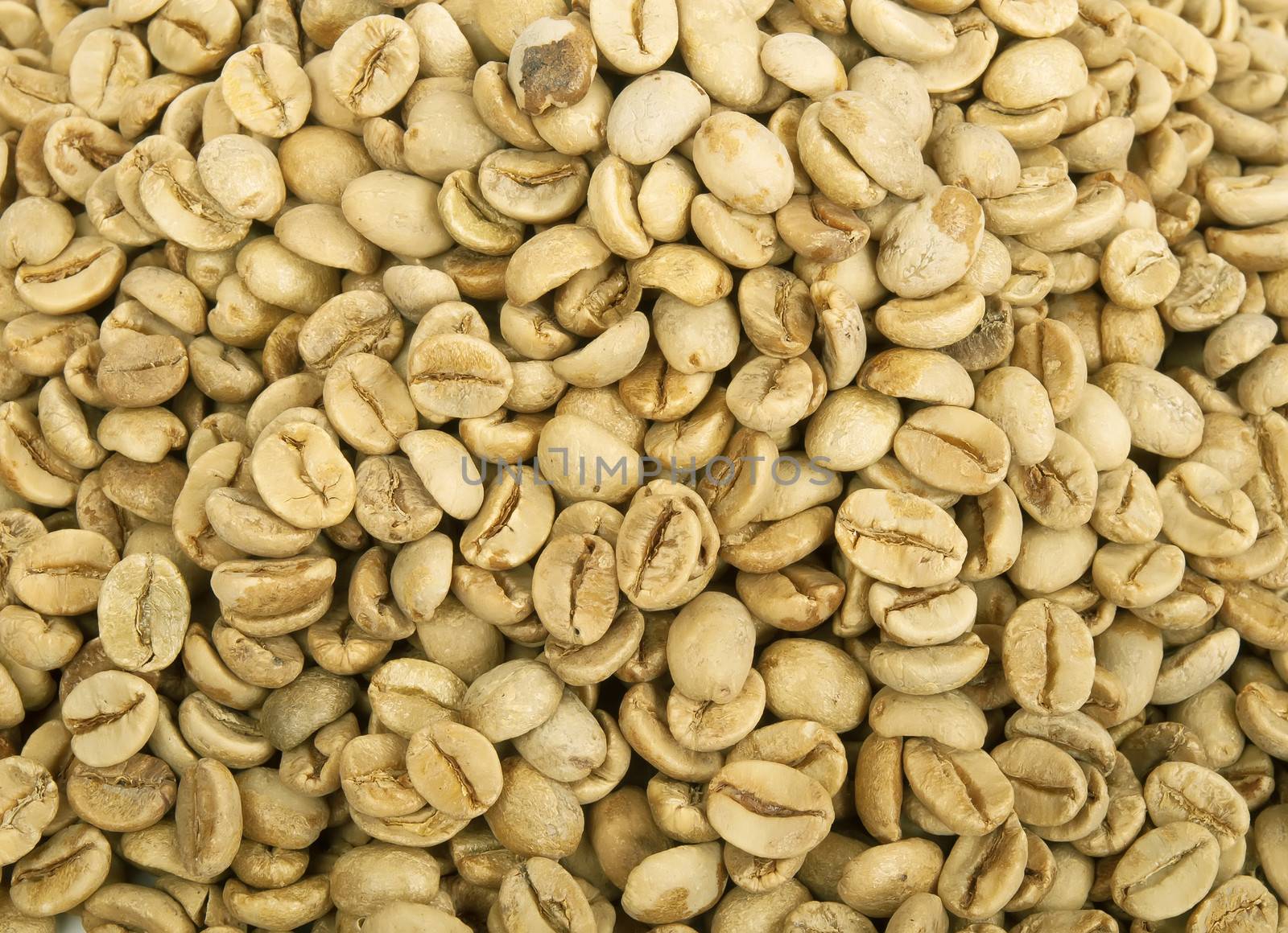 green coffee beans background