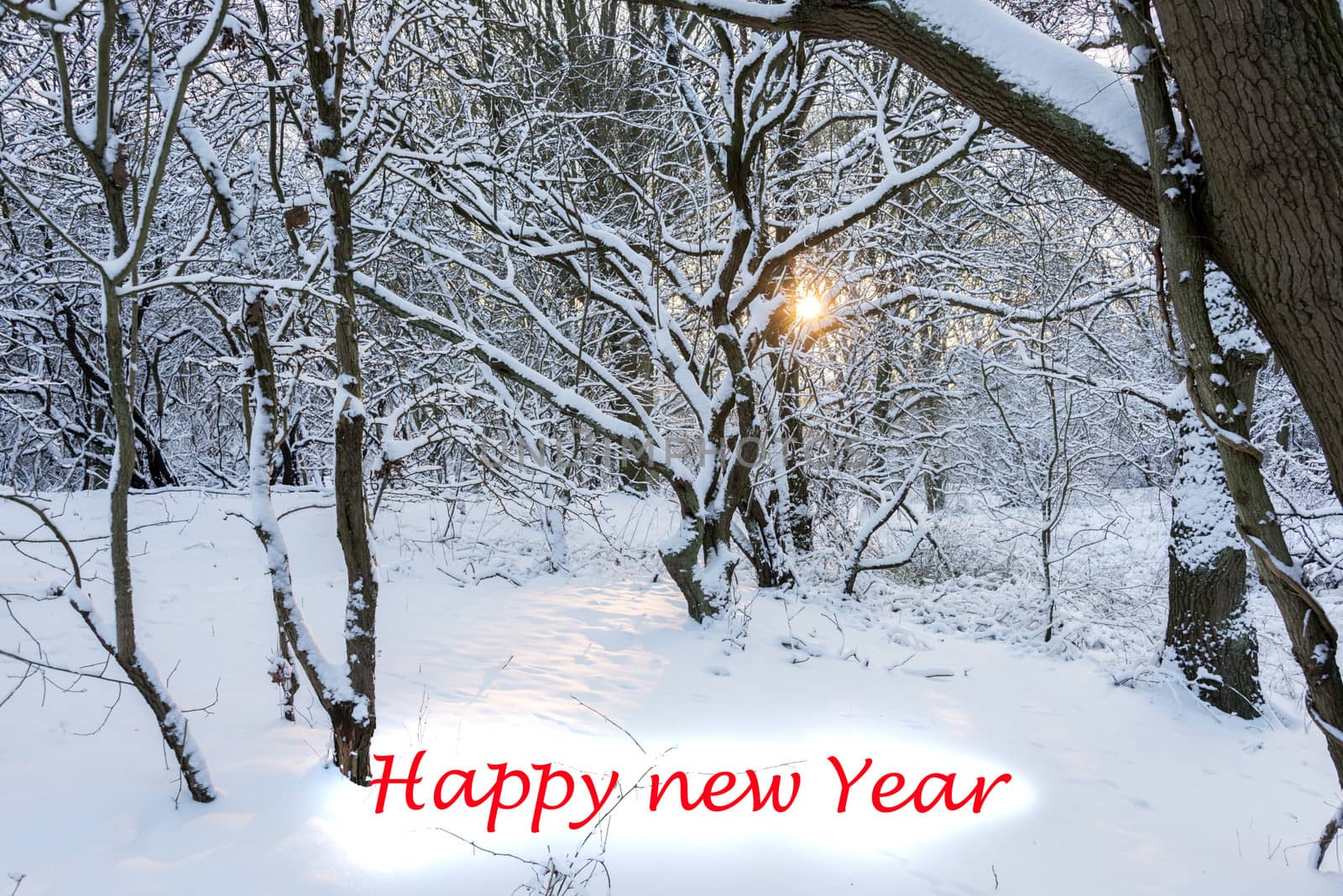 sun shining through the trees in winter landscape with snow and text happy new year